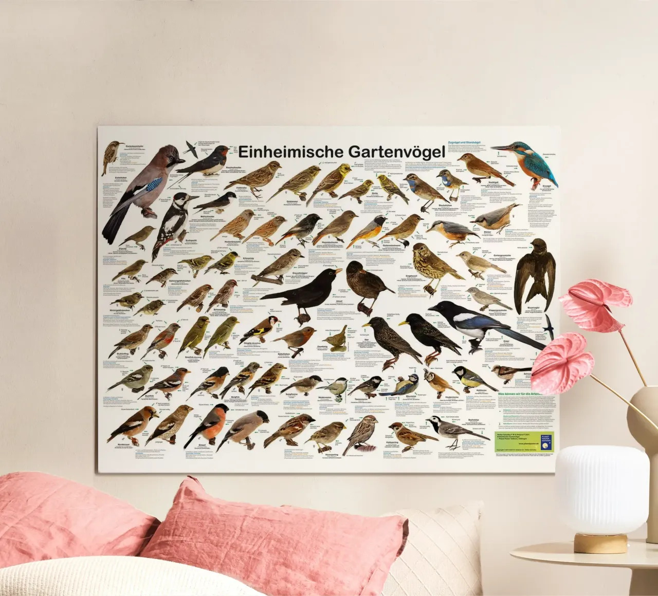Inheemse tuinvogels (Duits) poster van David Jackson