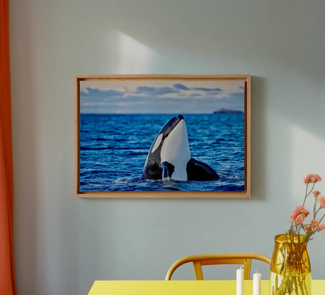 Orca oder Killerwal, Kaldfjorden Leinwand mit Schattenfugenrahmen von David Jackson