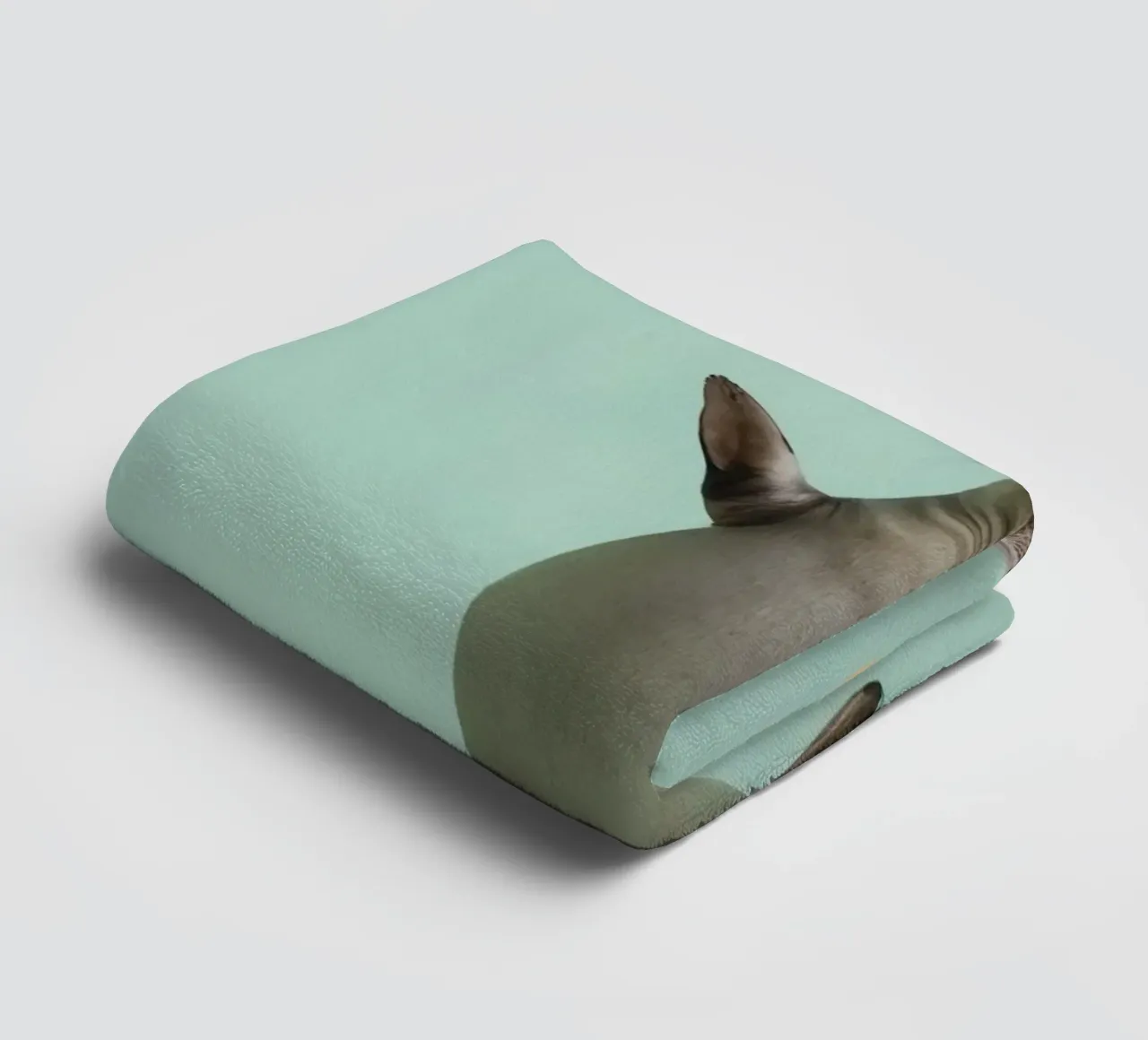 Seal Balancing with Ball on Green Background towel by DesignDoodle