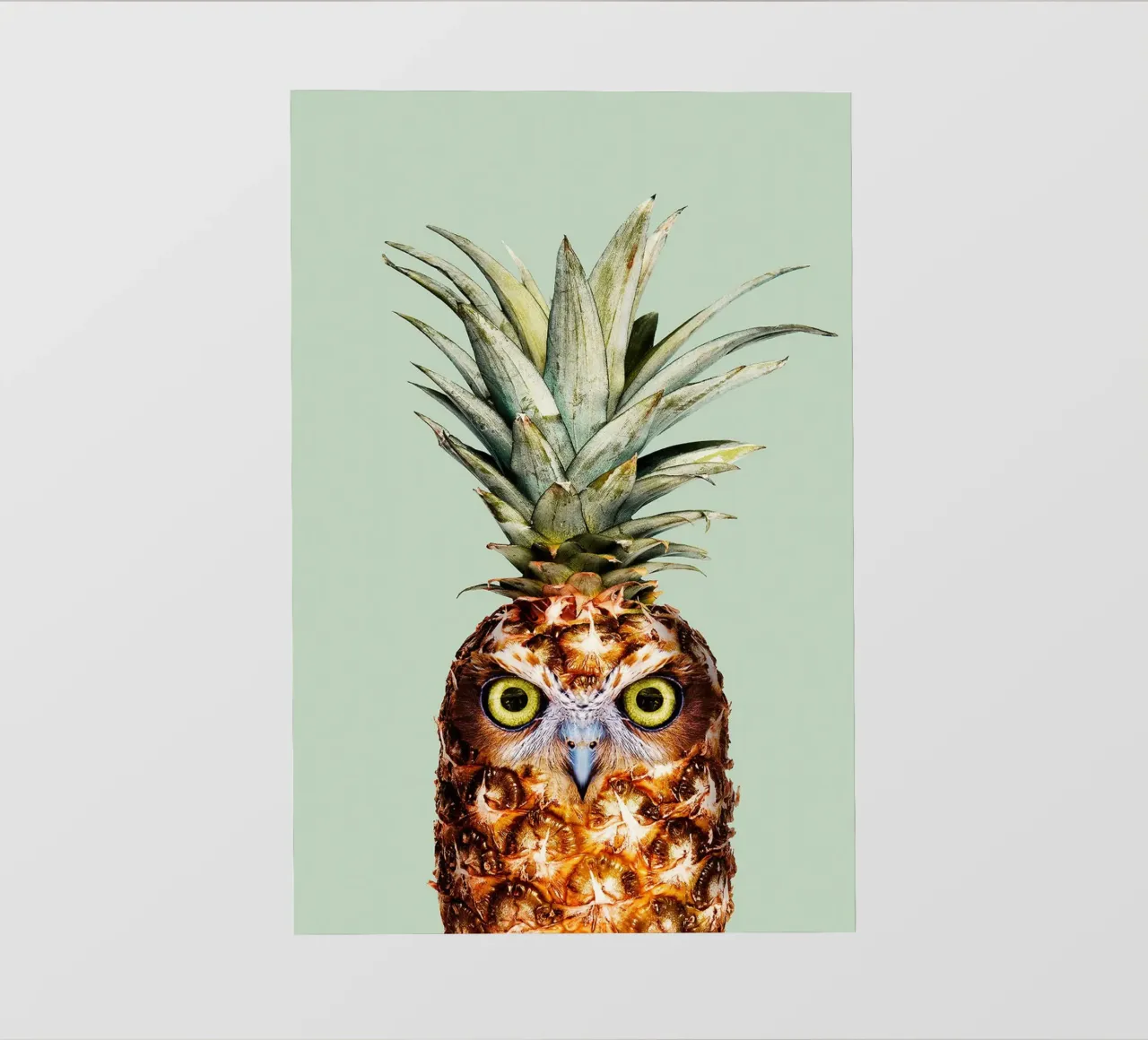 Ananas I di Jonas Loose pellicola backlit da David Jackson