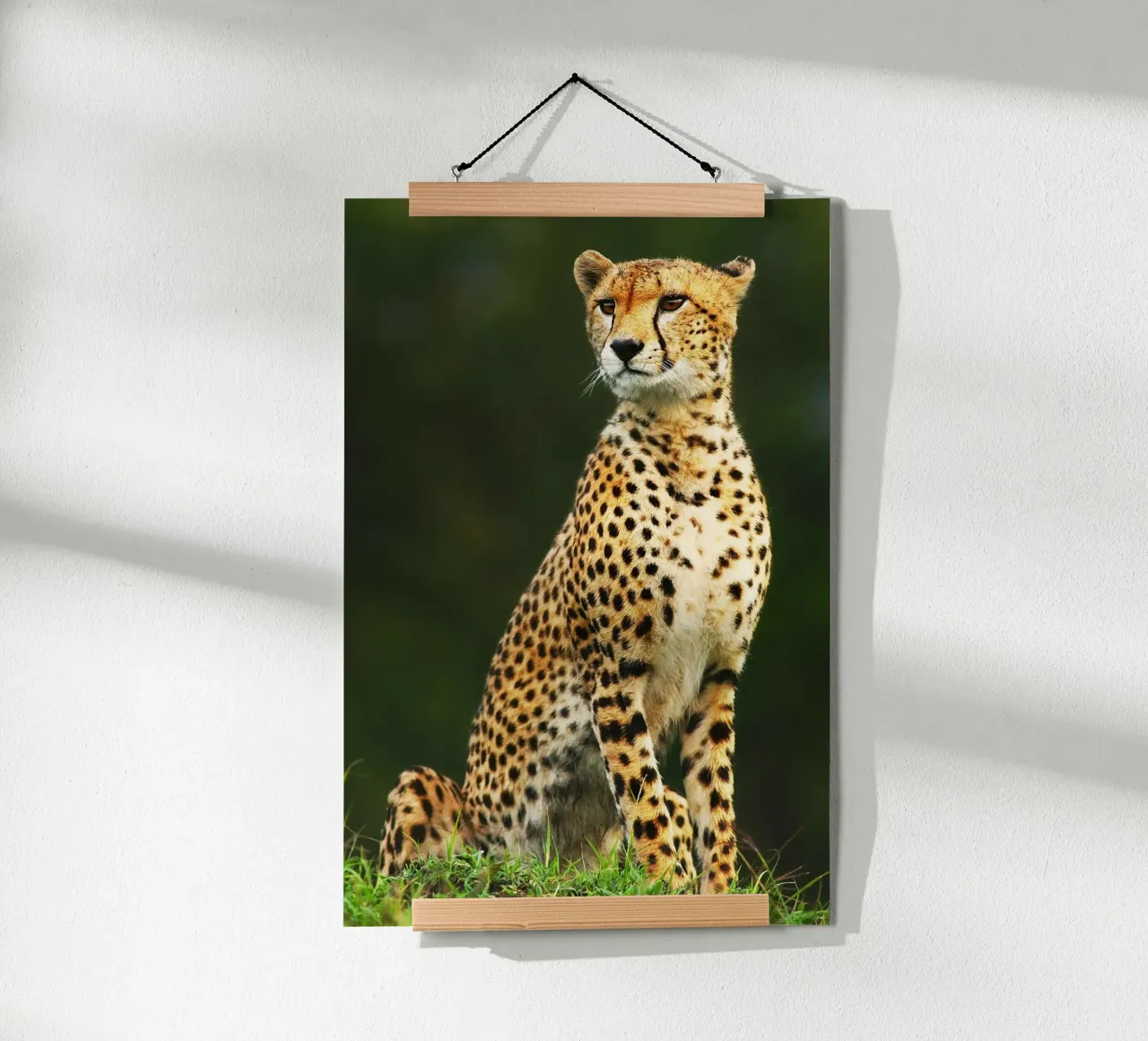 Ritratto di ghepardo africano poster da David Jackson
