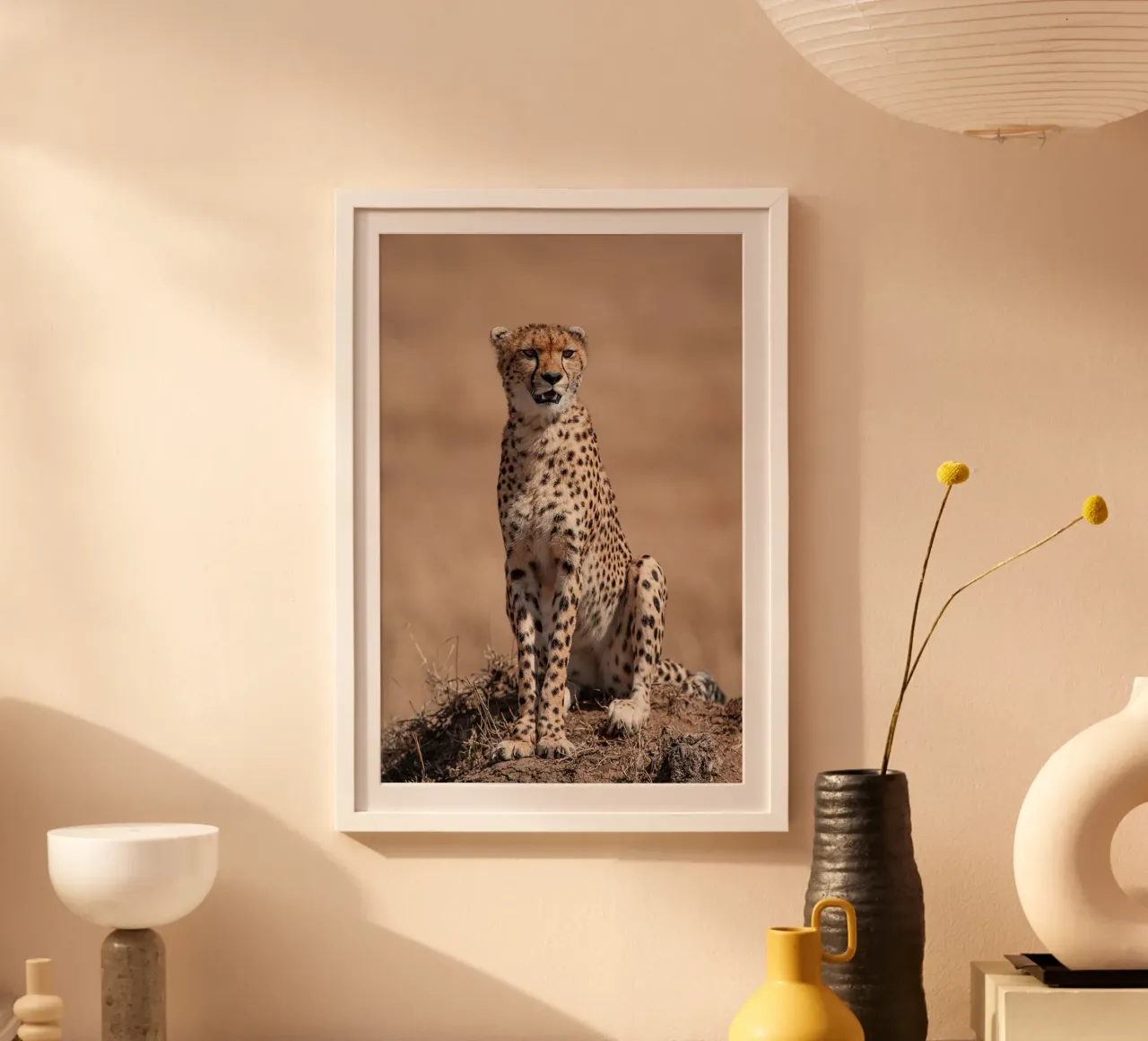 Ghepardo a riposo poster da David Jackson