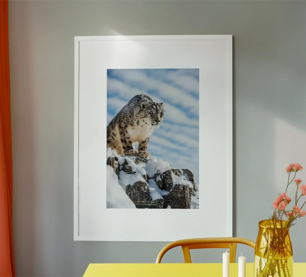 Leopardo delle nevi (Panthera india) poster da David Jackson