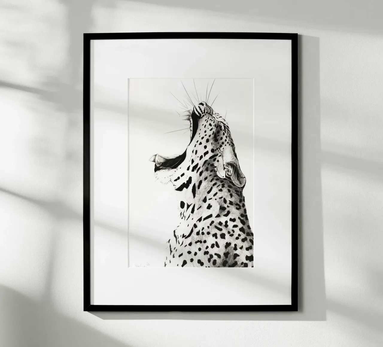 Leopardo sbadigliante poster da David Jackson