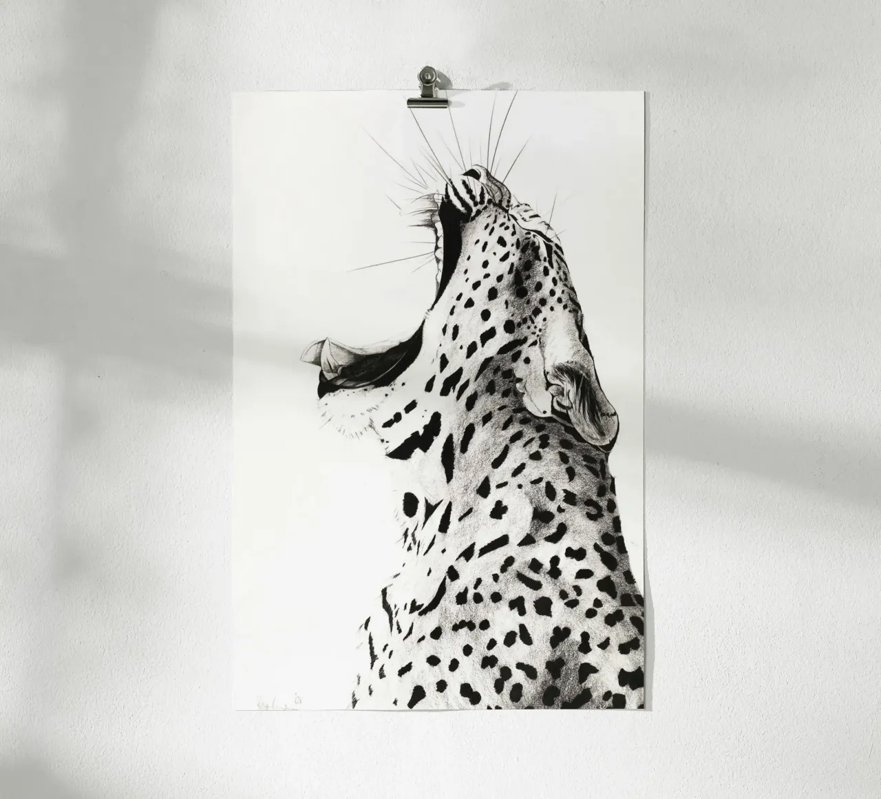 Leopardo sbadigliante poster da David Jackson