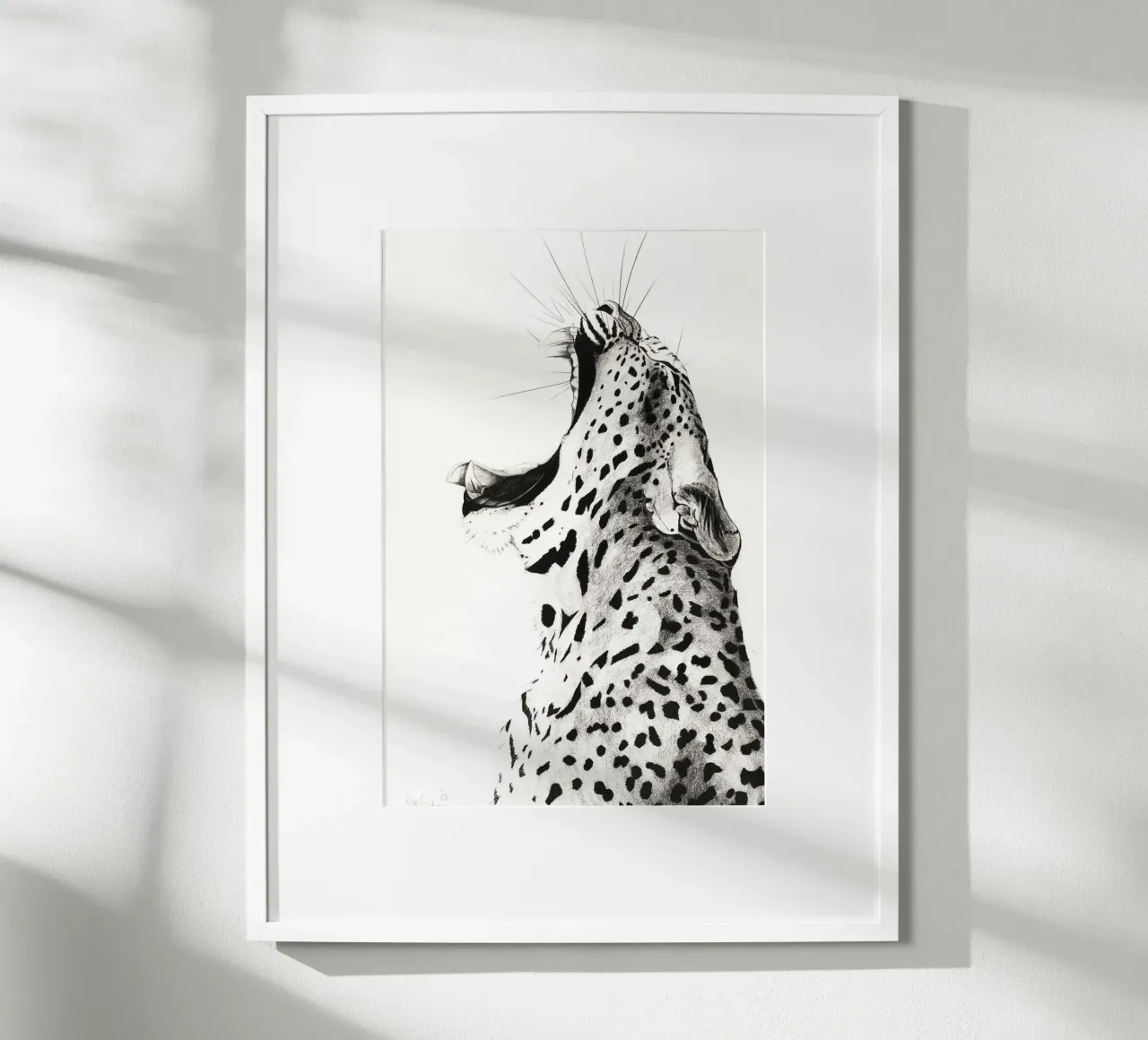 Leopardo sbadigliante poster da David Jackson