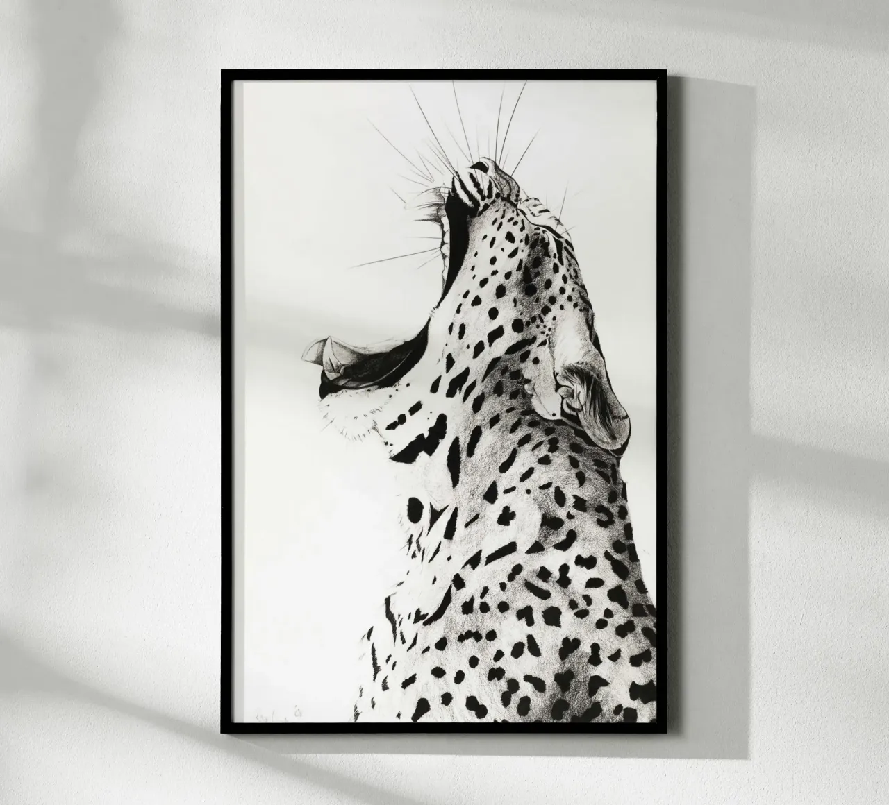 Leopardo sbadigliante poster da David Jackson
