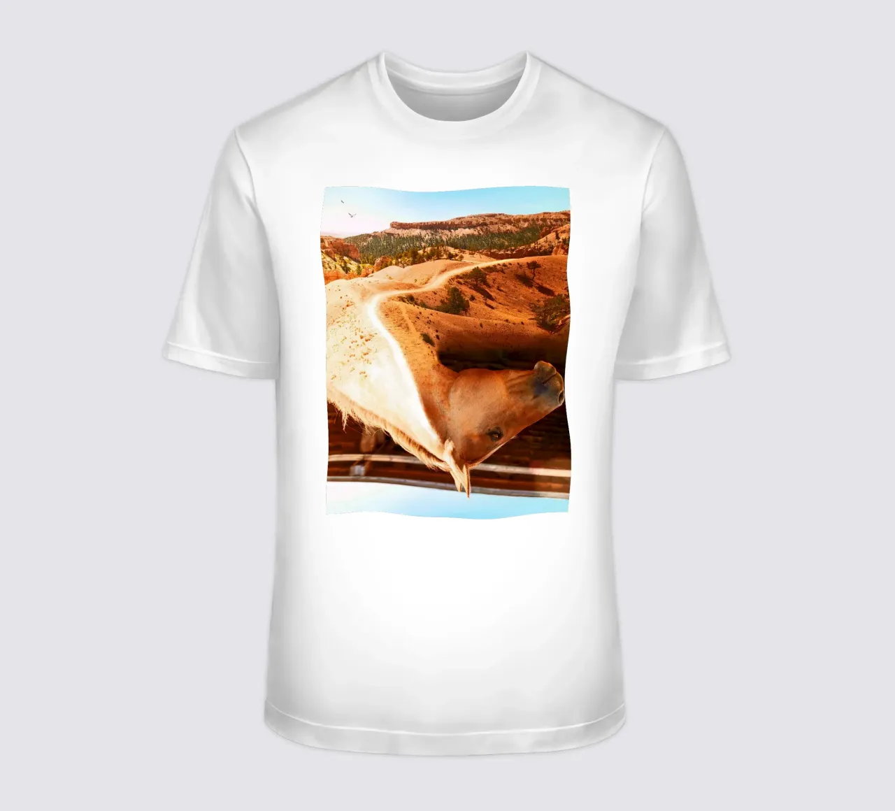 Horse With No Name t-shirt da mofartmonica