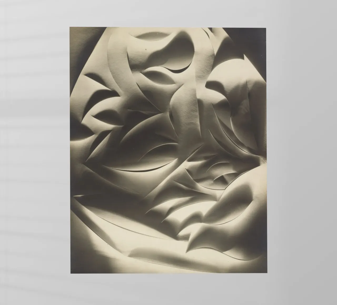 Cut-paper Abstraction pellicola backlit da vintageshop