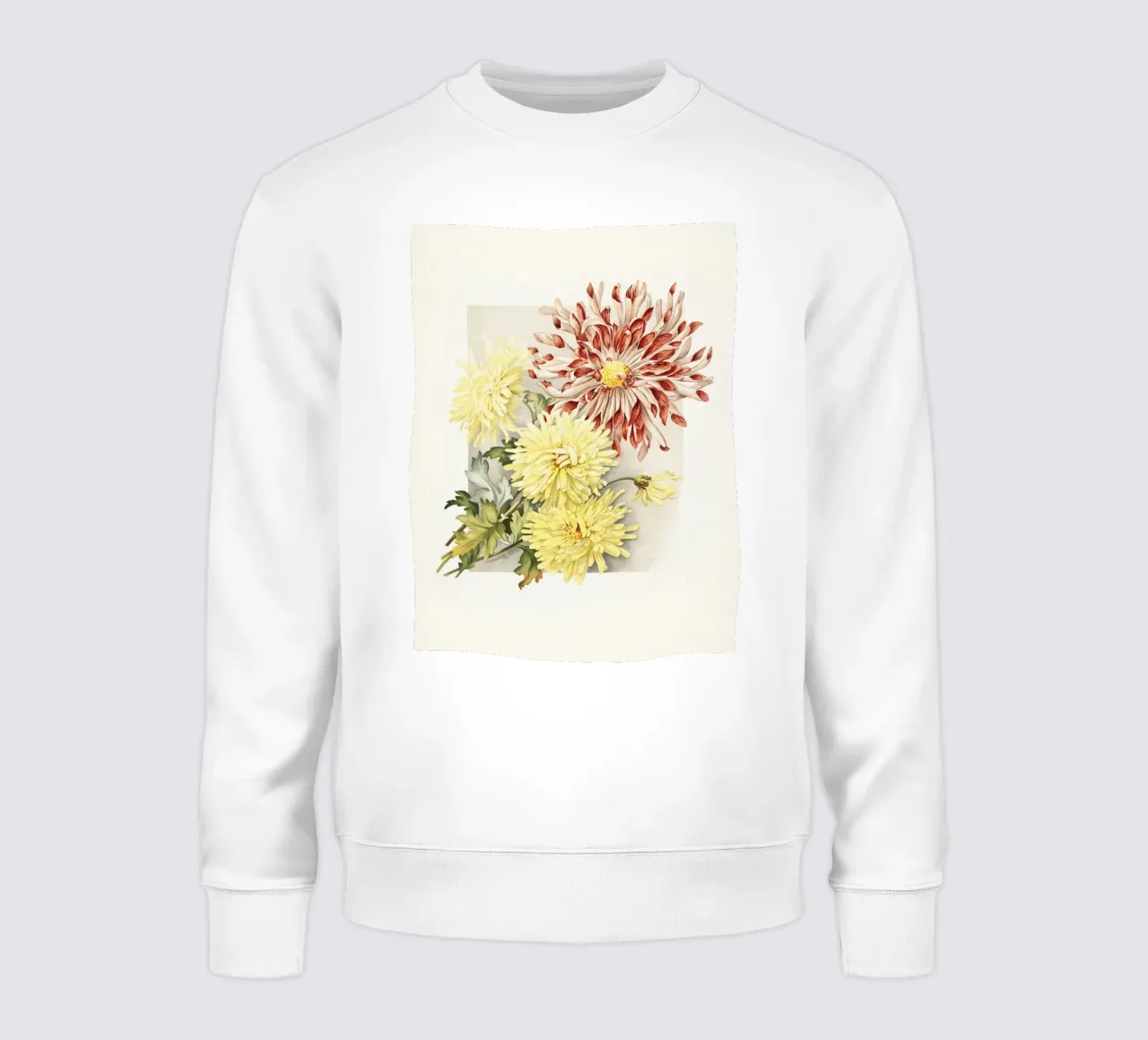Chrysanthemums felpa da apoloprints