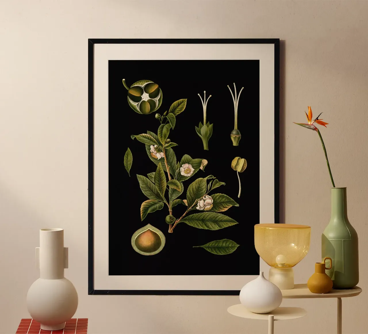 Vintage Bollmann 1 Theestrauch hahnemühle by Vintage Print Collection