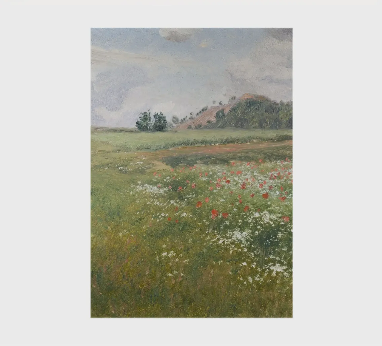 Fields with Wild Poppies diario da apoloprints