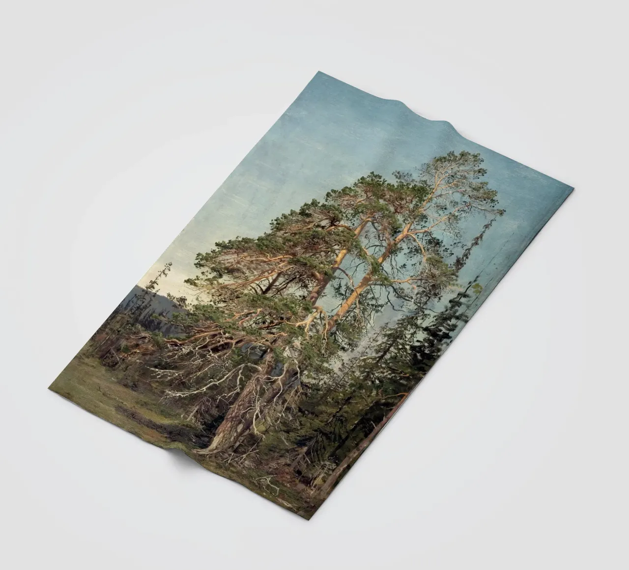 Pine Trees Landscape coperta in pile da apoloprints