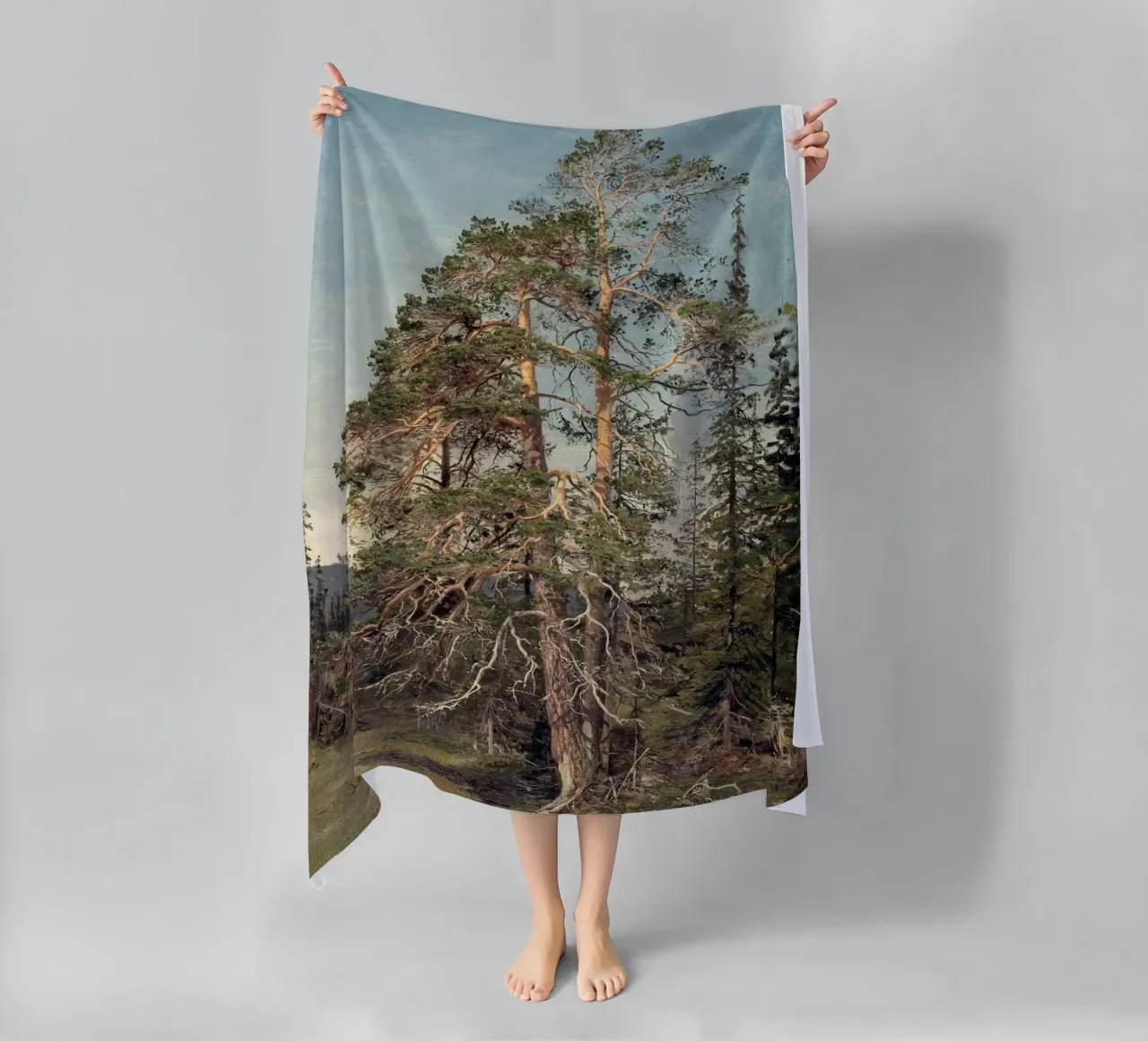 Pine Trees Landscape telo mare da apoloprints