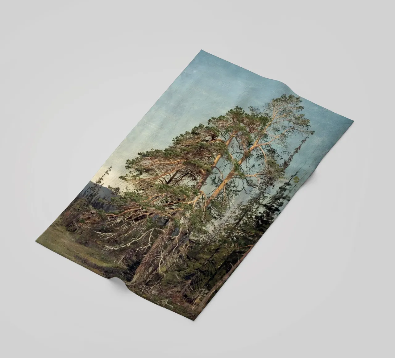 Pine Trees Landscape telo mare da apoloprints