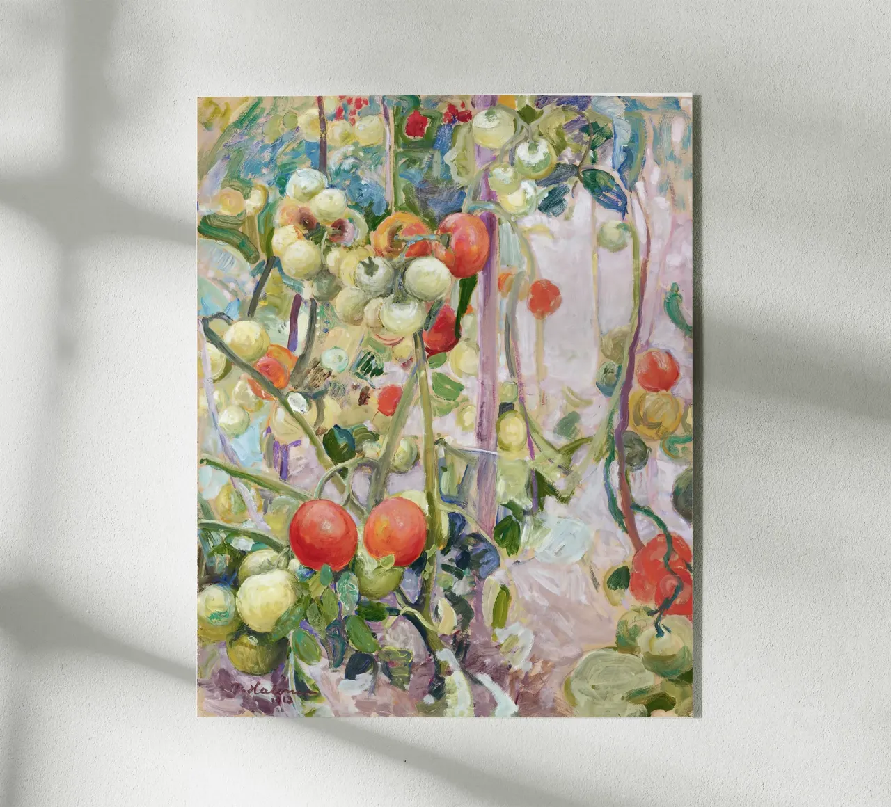 Tomatoes plexiglass da apoloprints