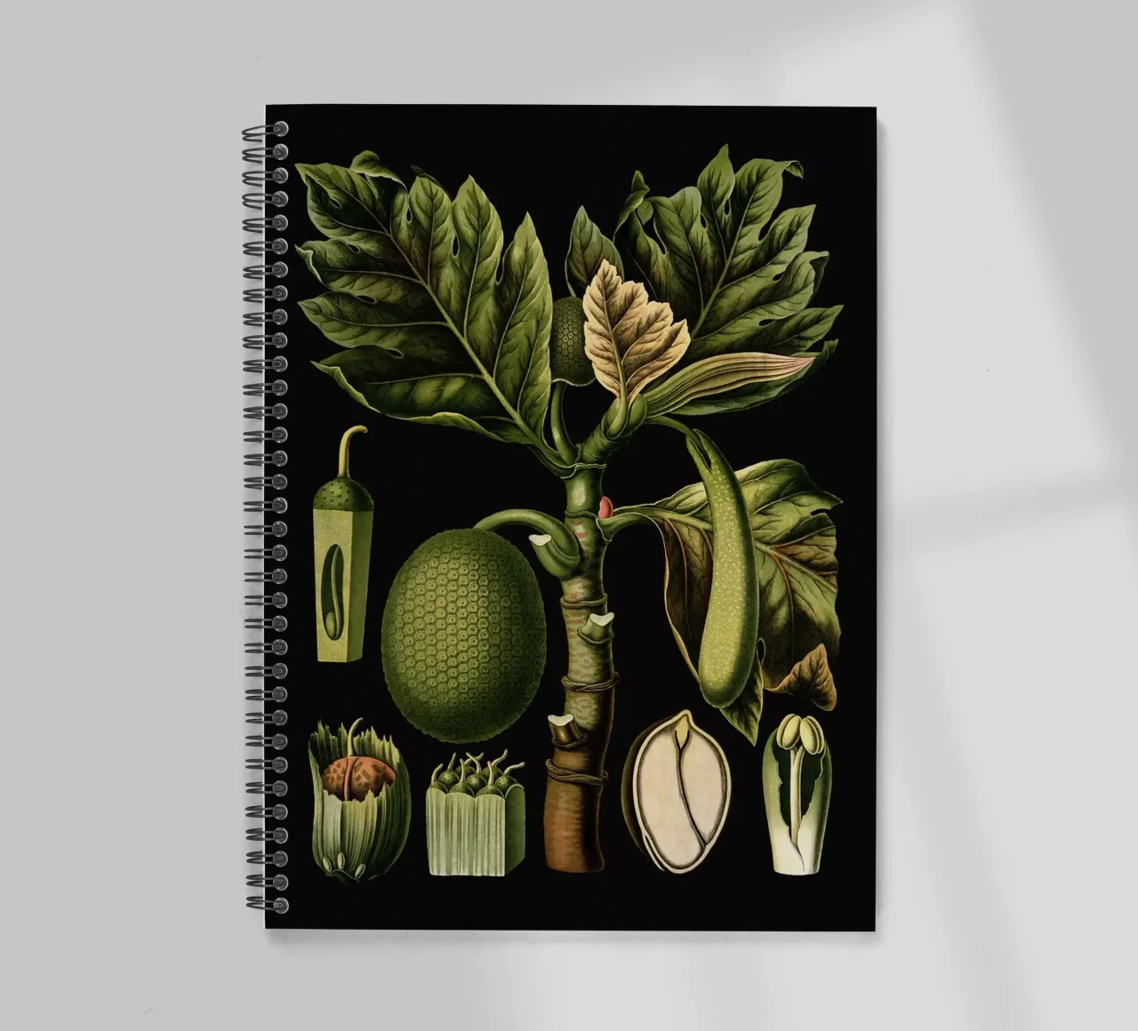 Vintage Bollmann 2 Brotfruchtbaum spiral notebook by Vintage Print Collection