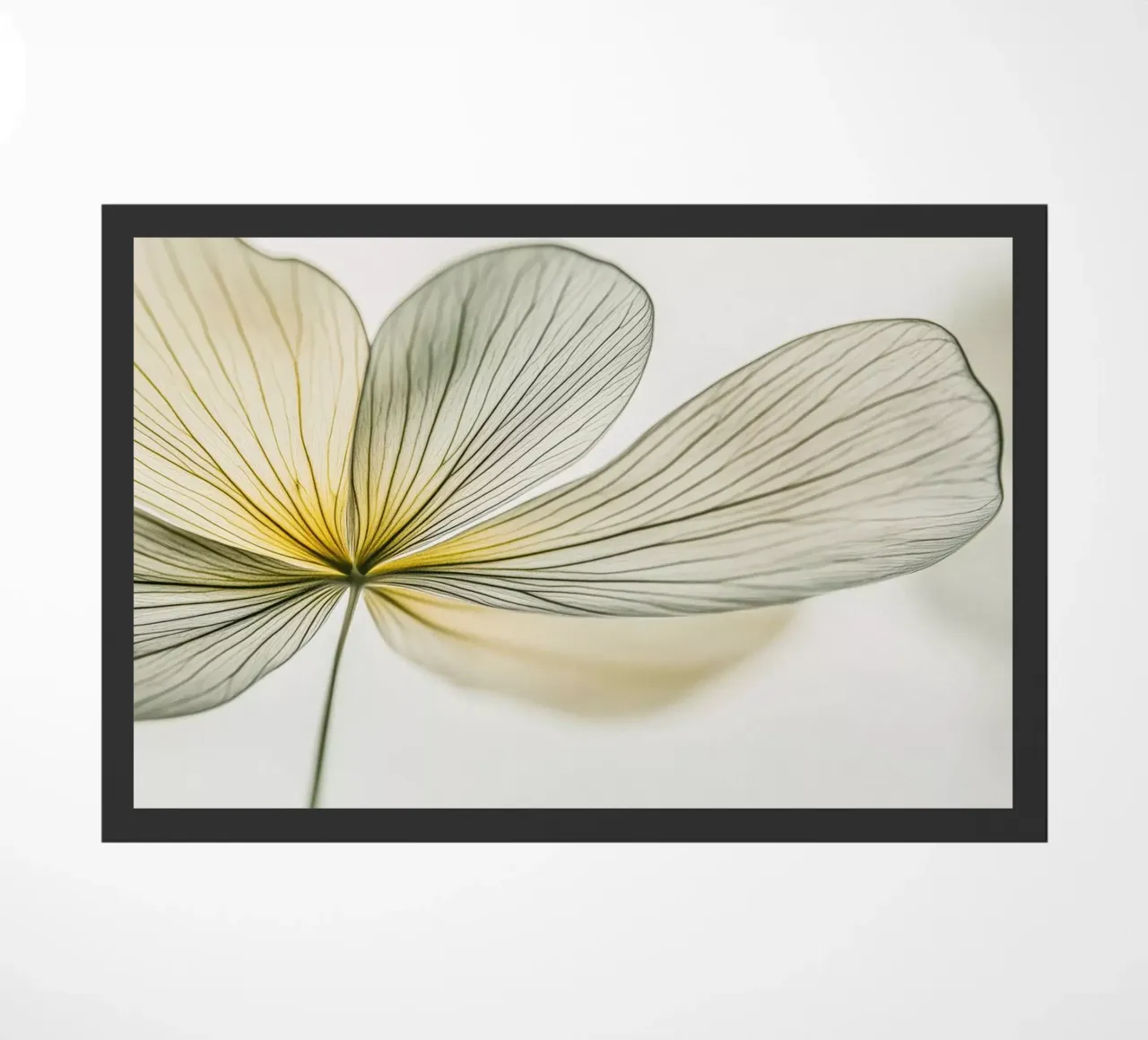 Fiore astratto zerbino da Imagine
