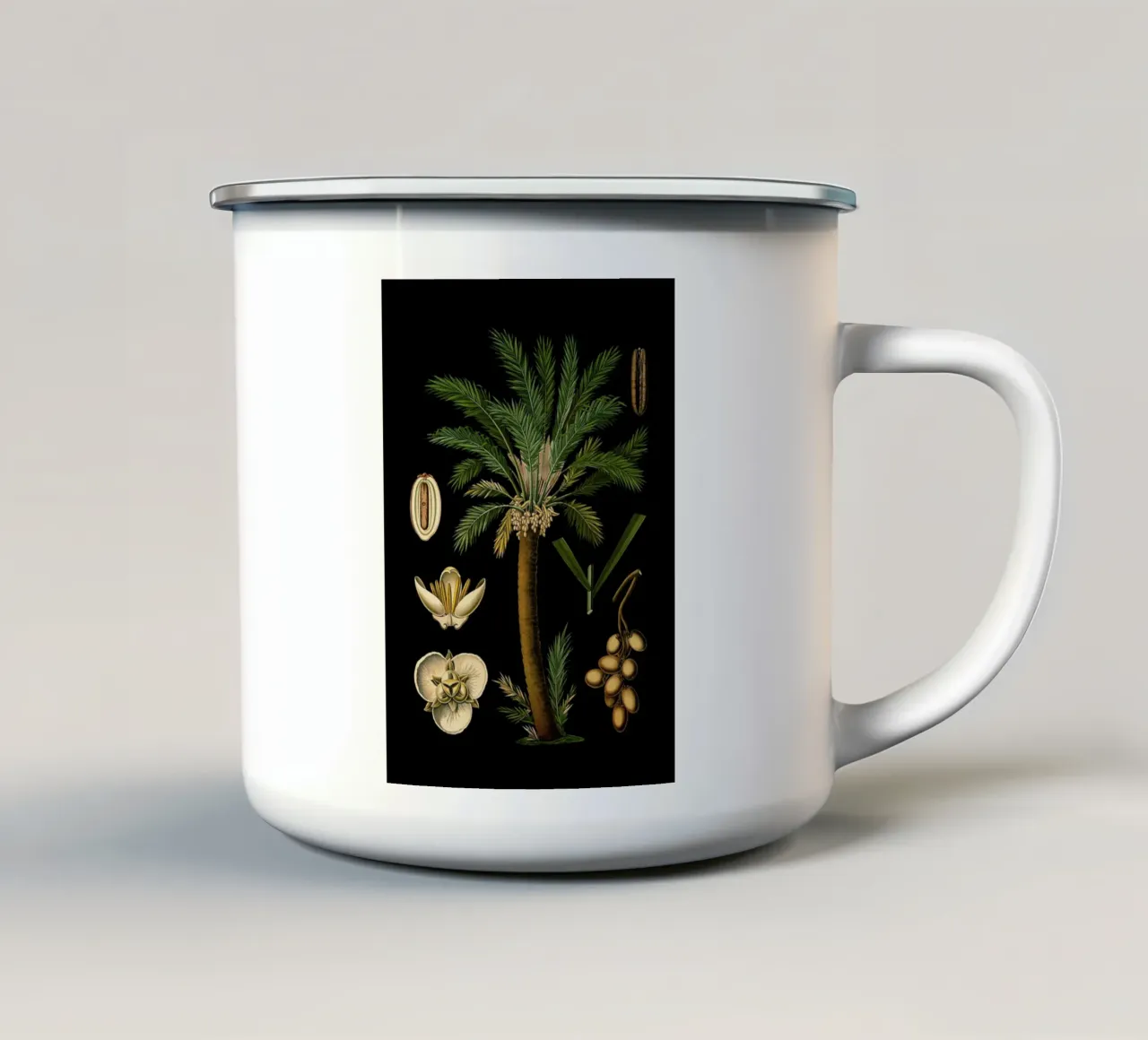 Vintage Bollmann 2 Dattelpalme tazza in smalto da Vintage Print Collection