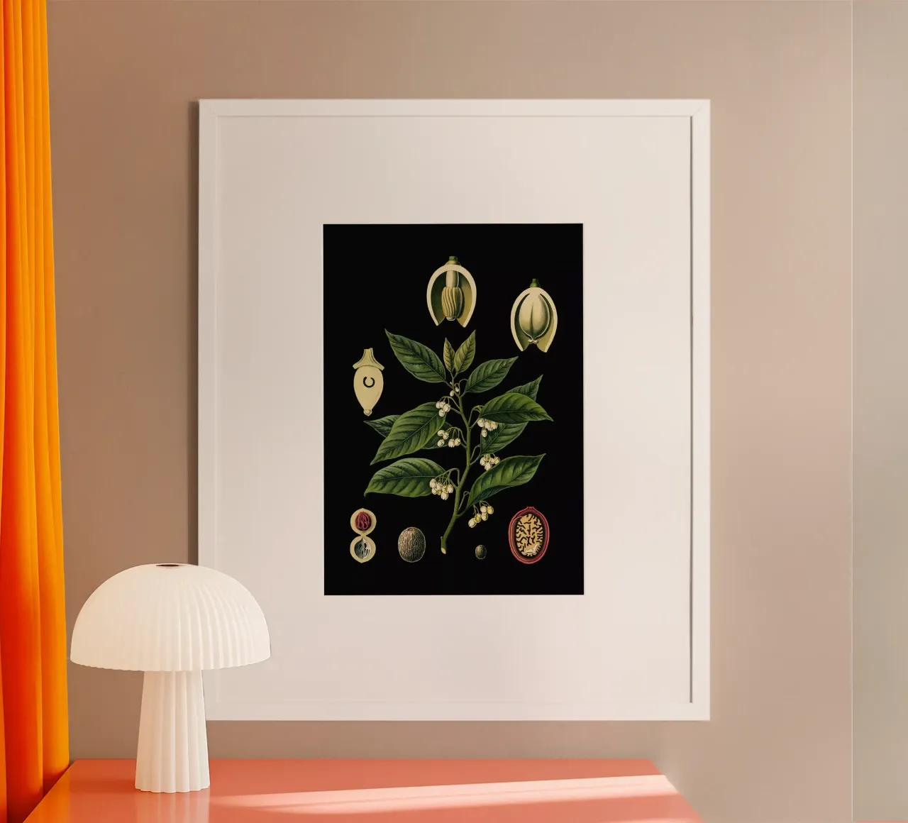 Vintage Bollmann 3 Muskatnussbaum poster con telaio in plastica da Vintage Print Collection