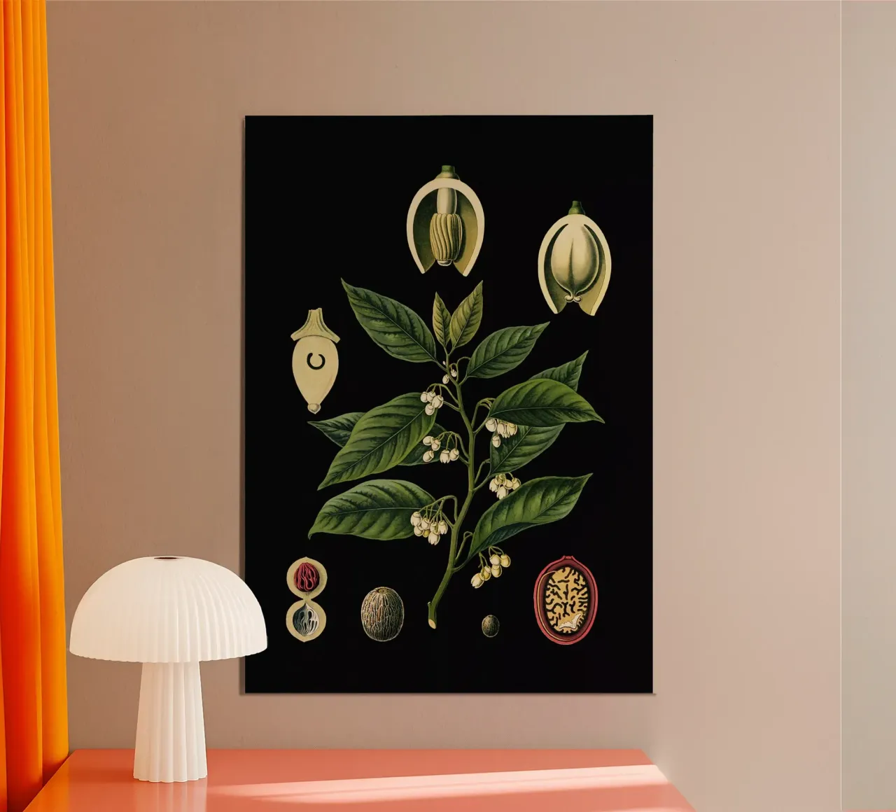 Vintage Bollmann 3 Muskatnussbaum poster con telaio in plastica da Vintage Print Collection