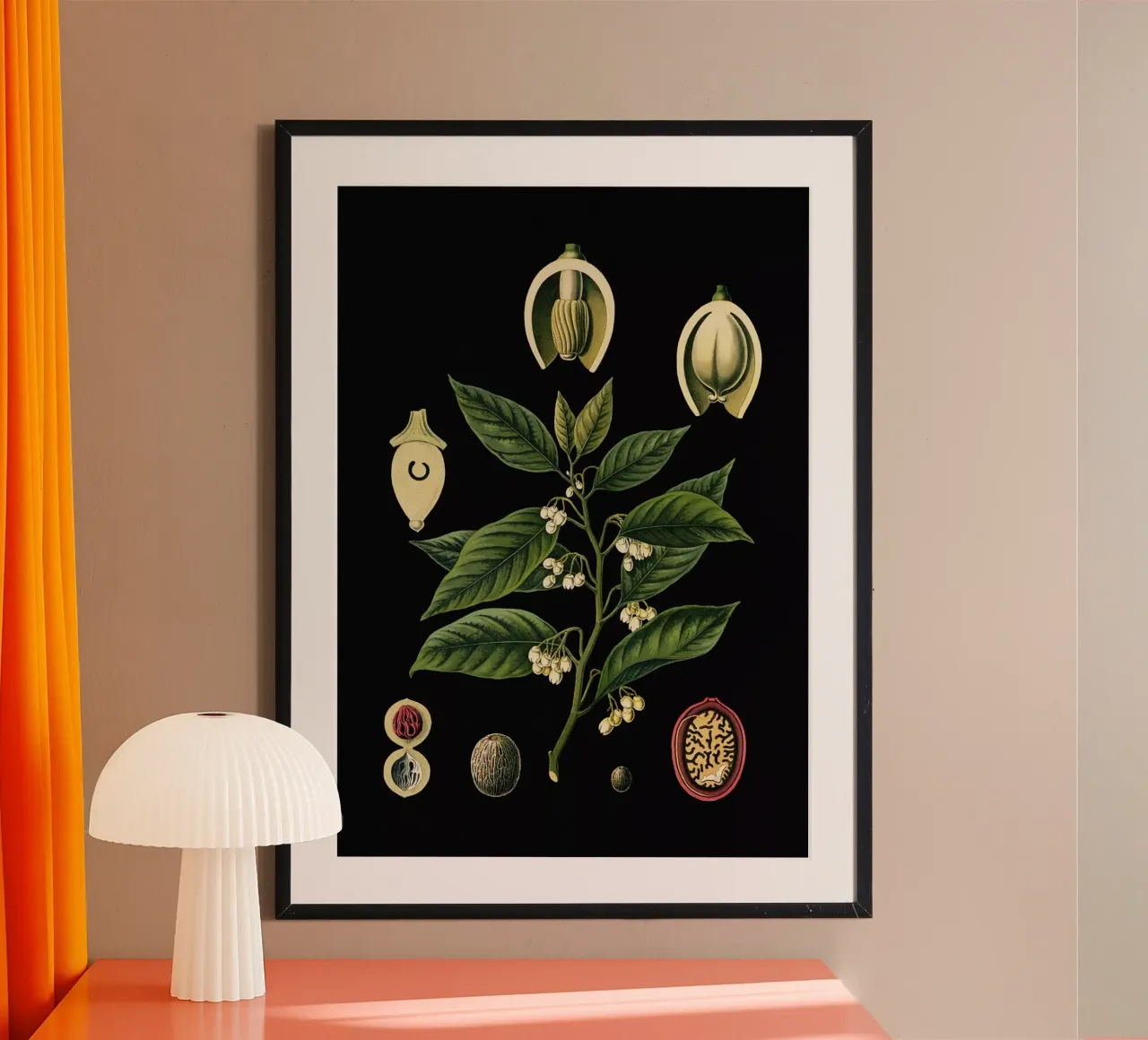 Vintage Bollmann 3 Muskatnussbaum poster con telaio in plastica da Vintage Print Collection