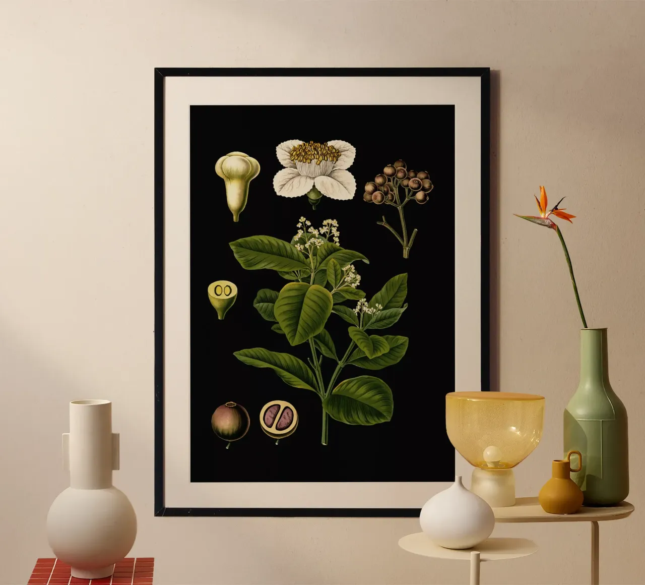 Vintage Bollmann 3 Nelkenpfeffer poster con telaio in legno da Vintage Print Collection