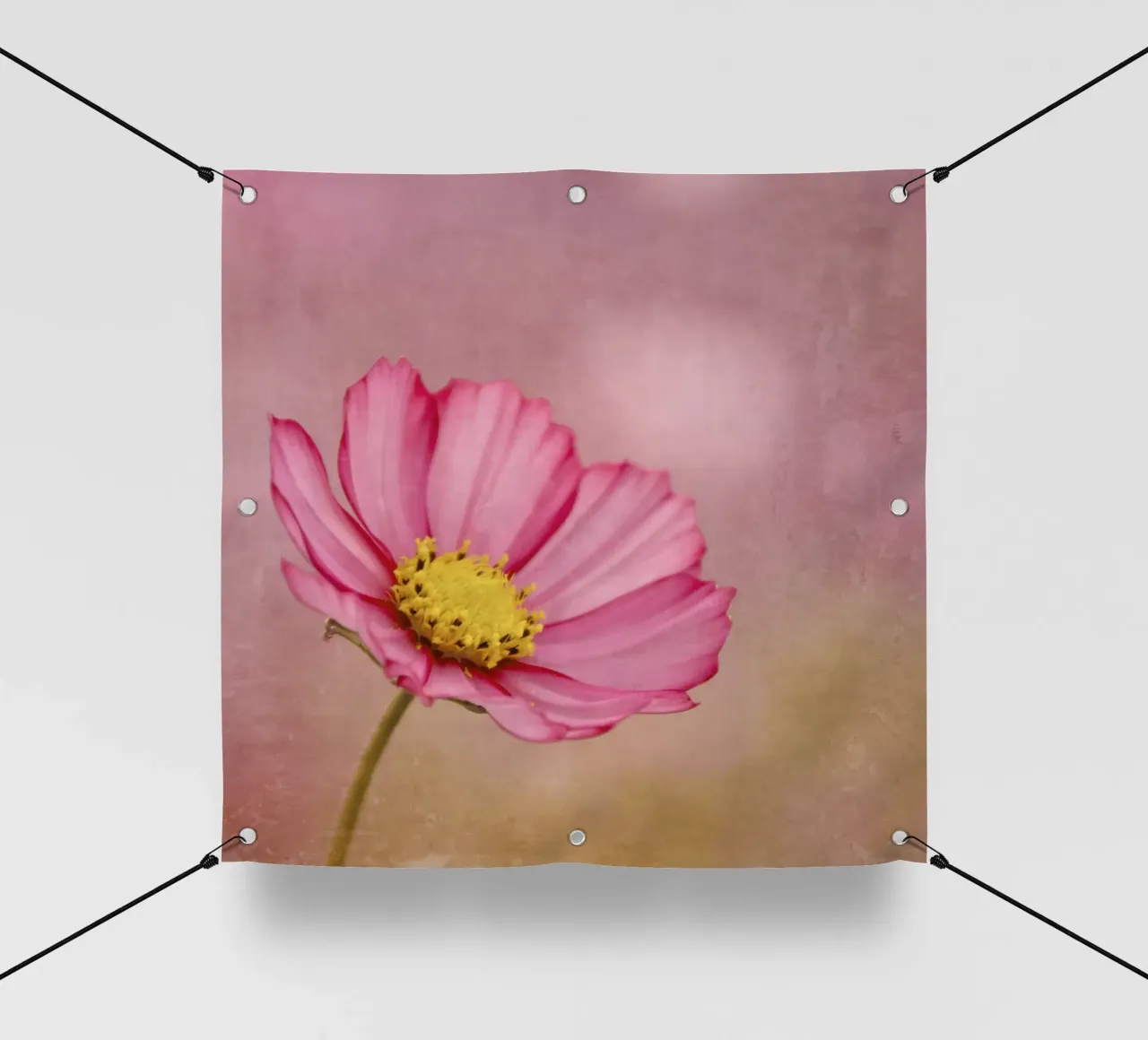 blossom telo in pvc da Visuelle Poesie am Wegesrand