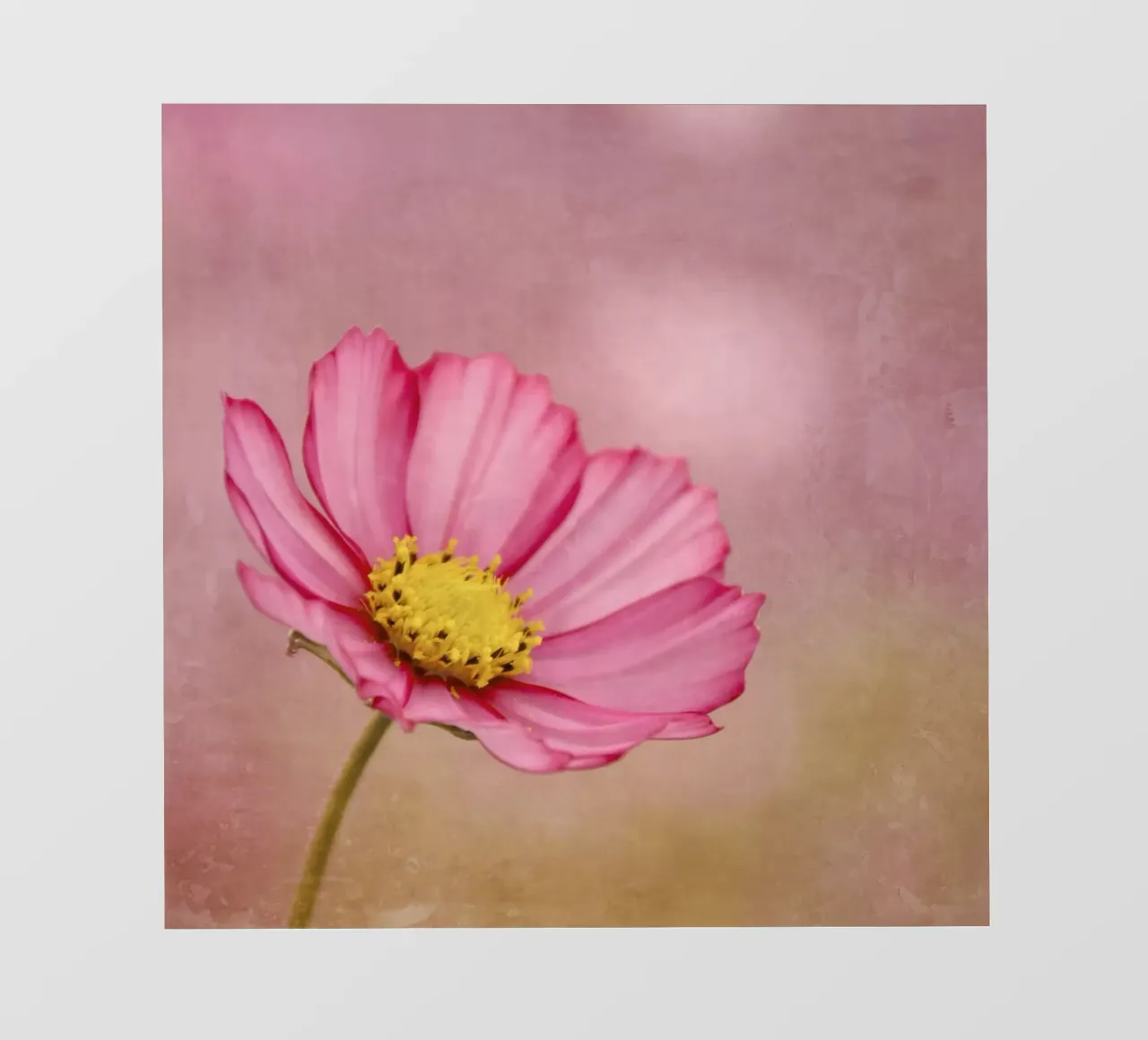blossom telo in pvc da Visuelle Poesie am Wegesrand