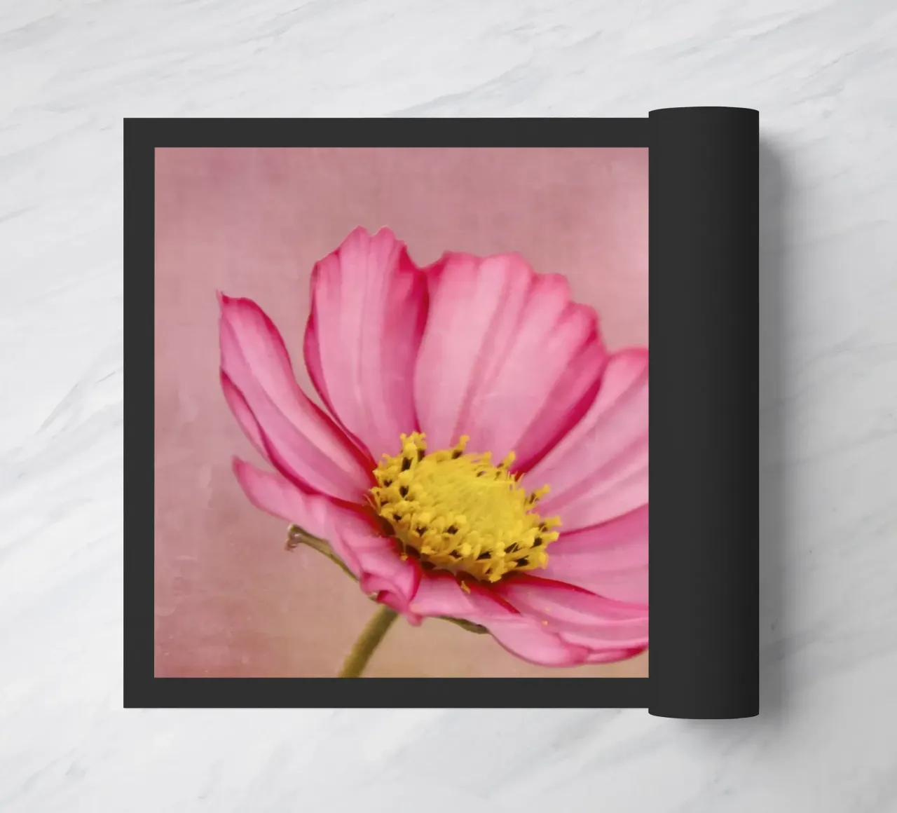 blossom zerbino da Visuelle Poesie am Wegesrand