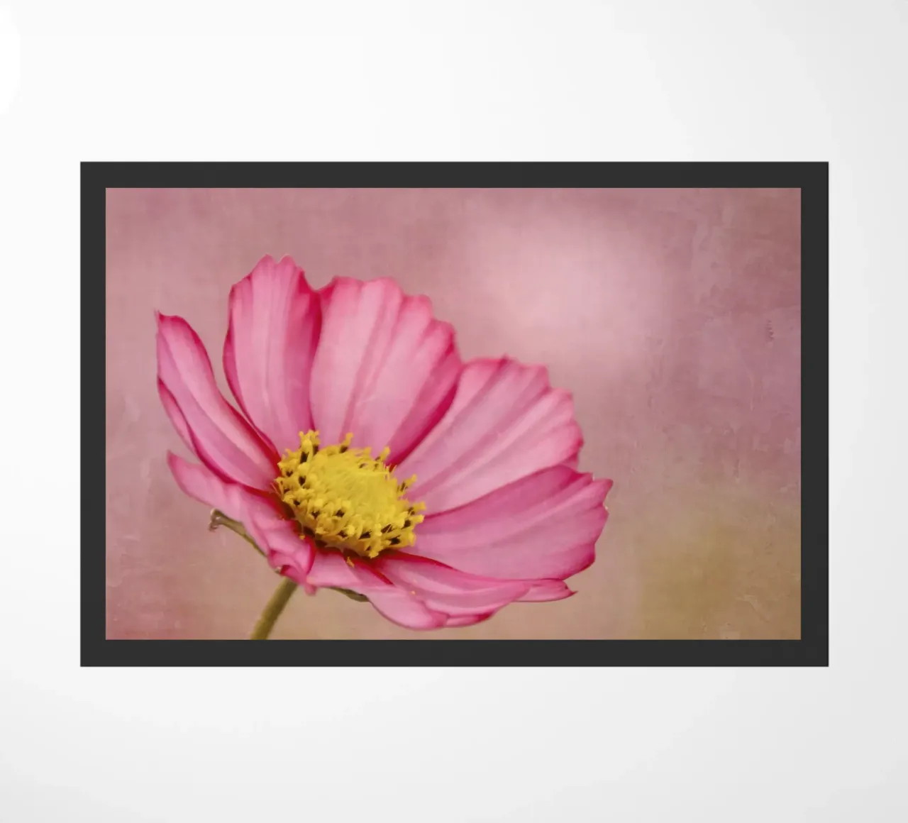 blossom zerbino da Visuelle Poesie am Wegesrand