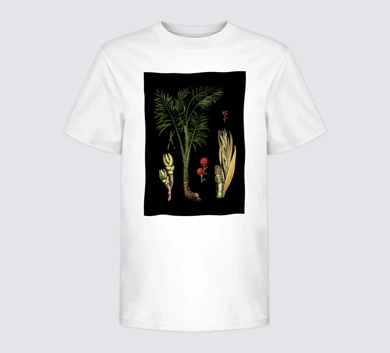 Vintage Bollmann 4 Drachen Rotang t-shirt bambini da Vintage Print Collection