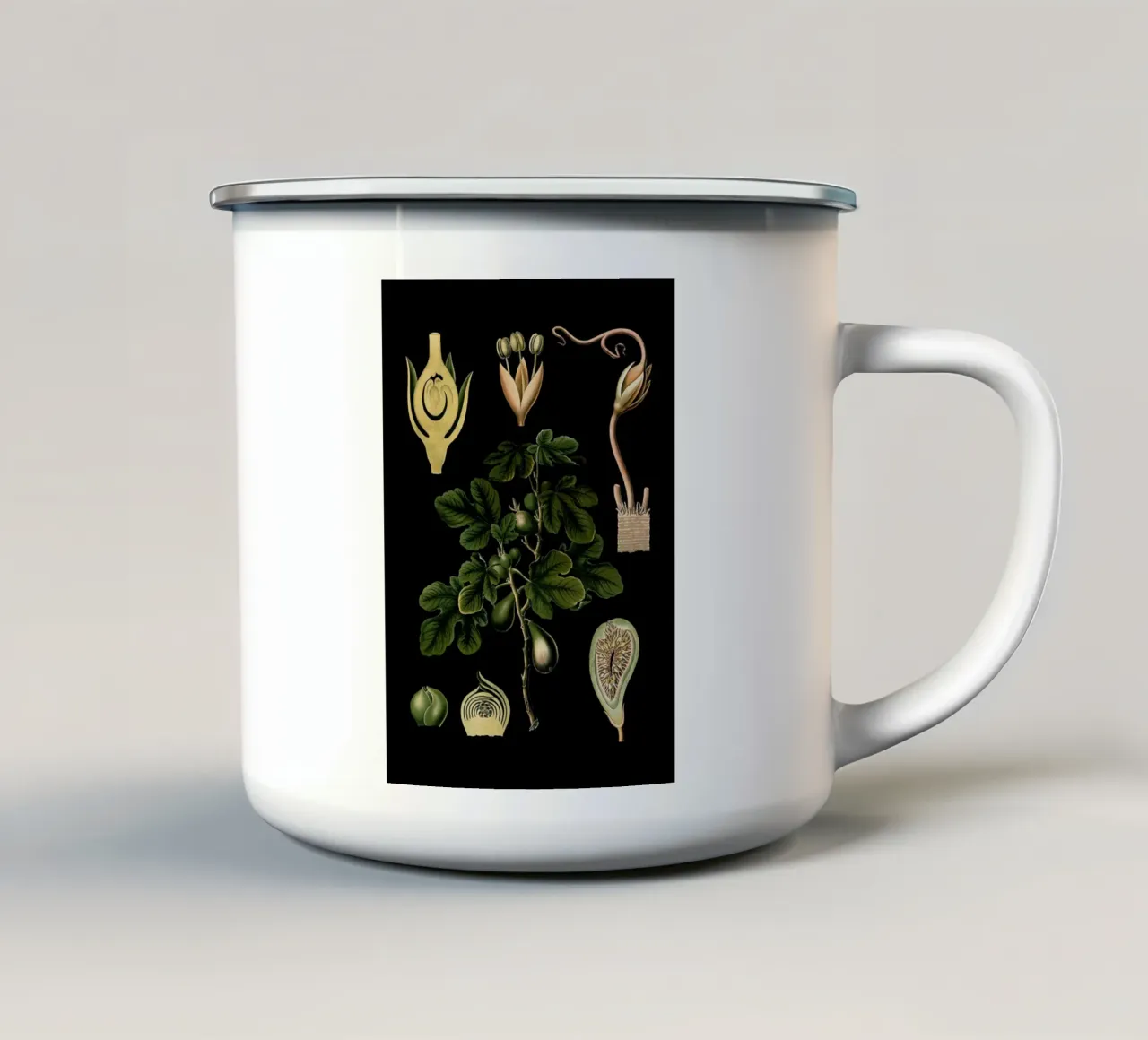 Vintage Bollmann 4 Feigenbaum tazza in smalto da Vintage Print Collection