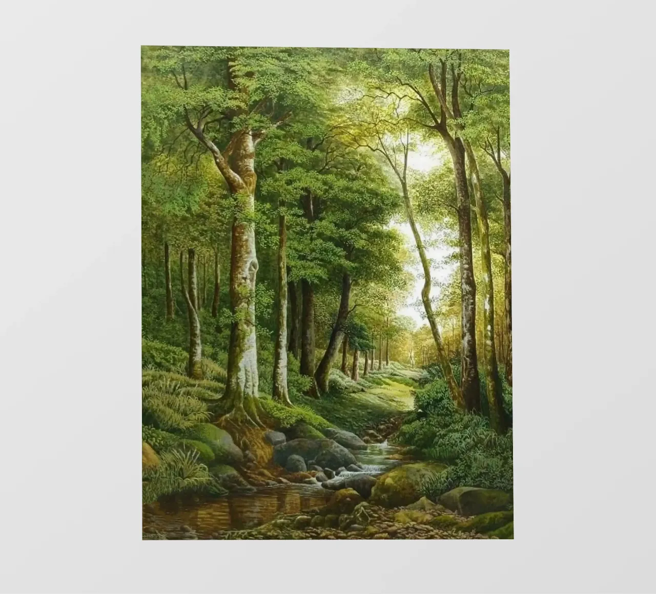 forest light tree pellicola backlit da melts