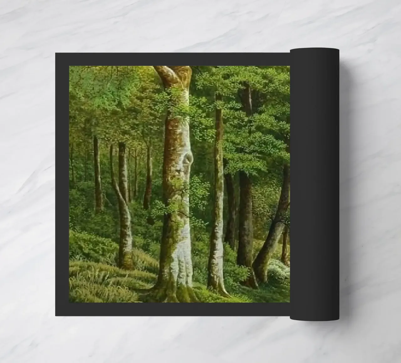 forest light tree zerbino da melts