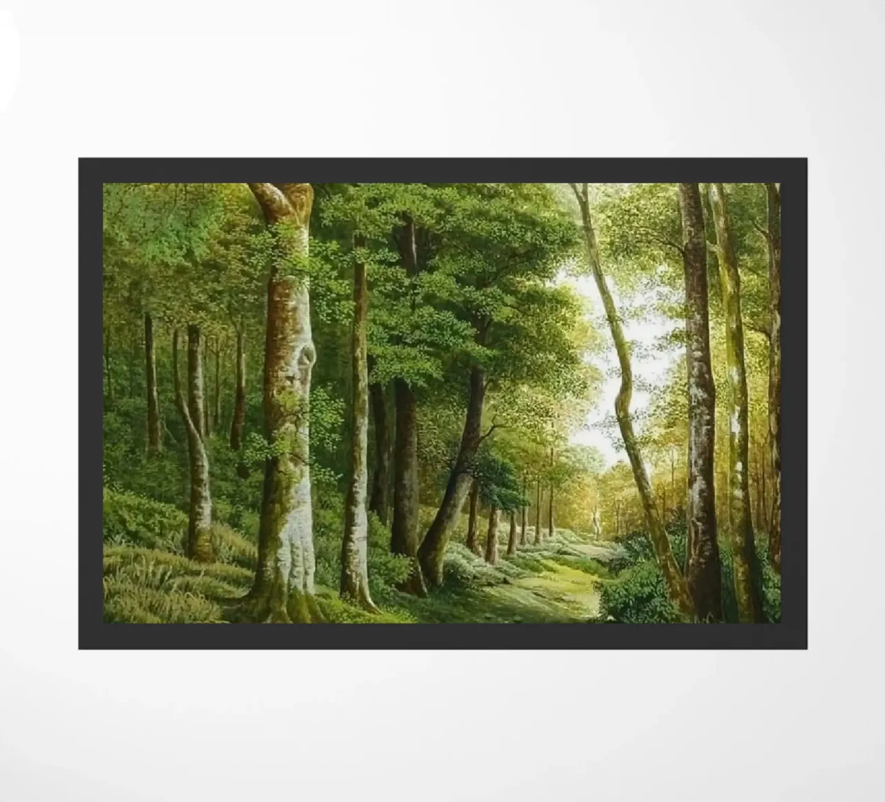 forest light tree zerbino da melts