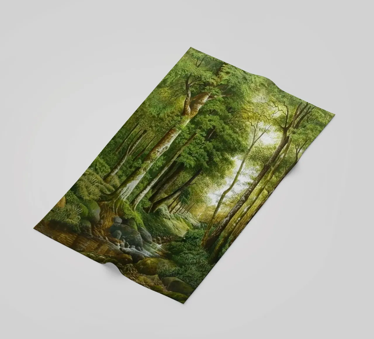forest light tree telo mare da melts