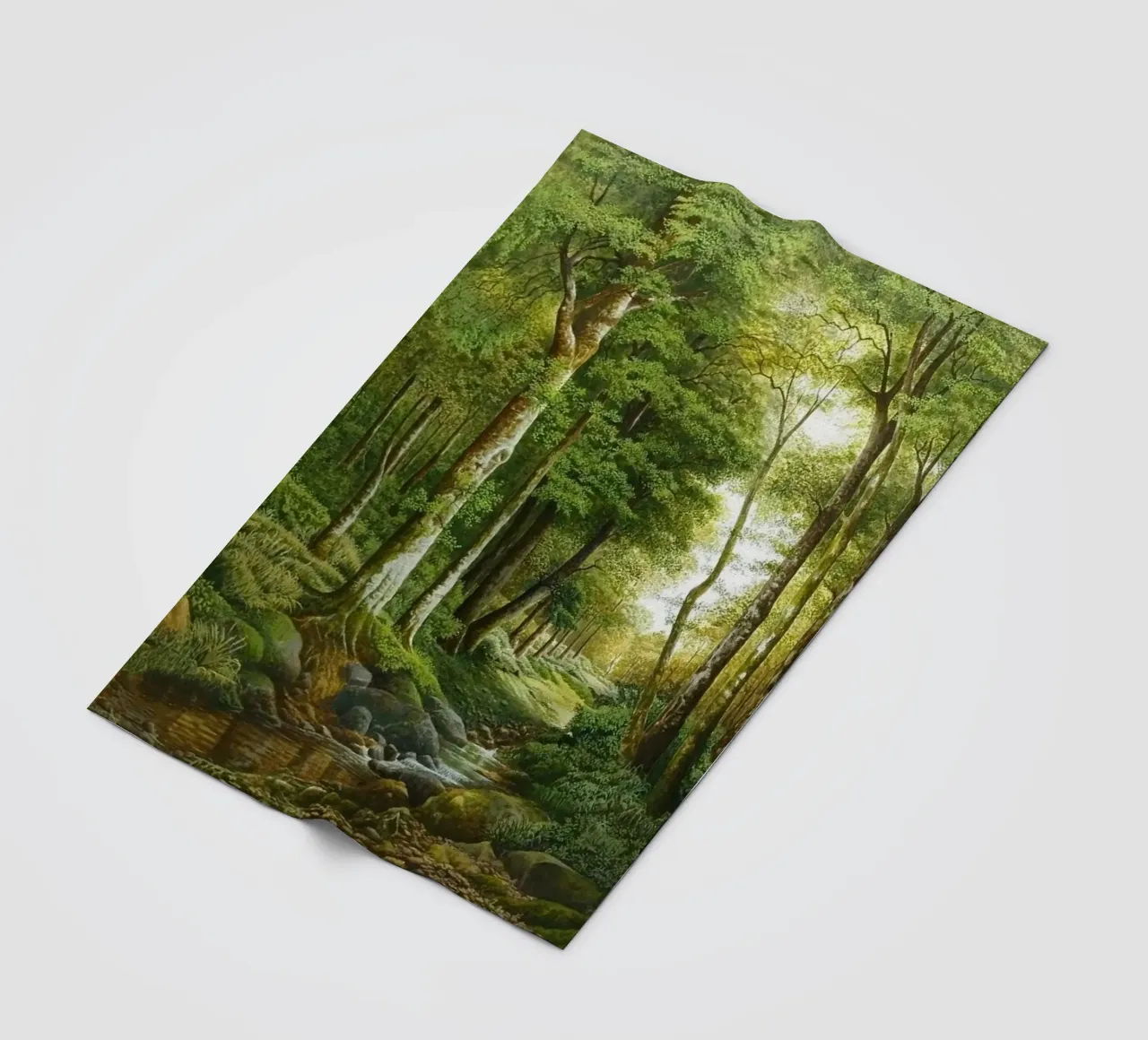 forest light tree coperta in pile da melts
