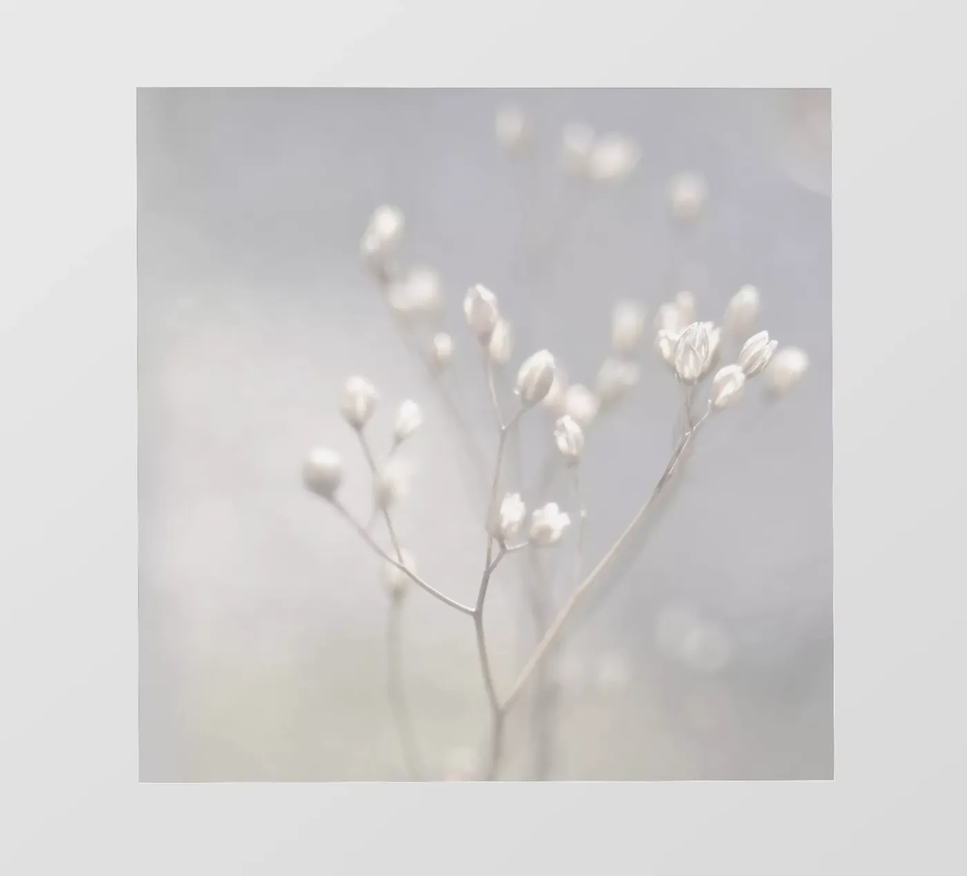 winter light pellicola backlit da Visuelle Poesie am Wegesrand