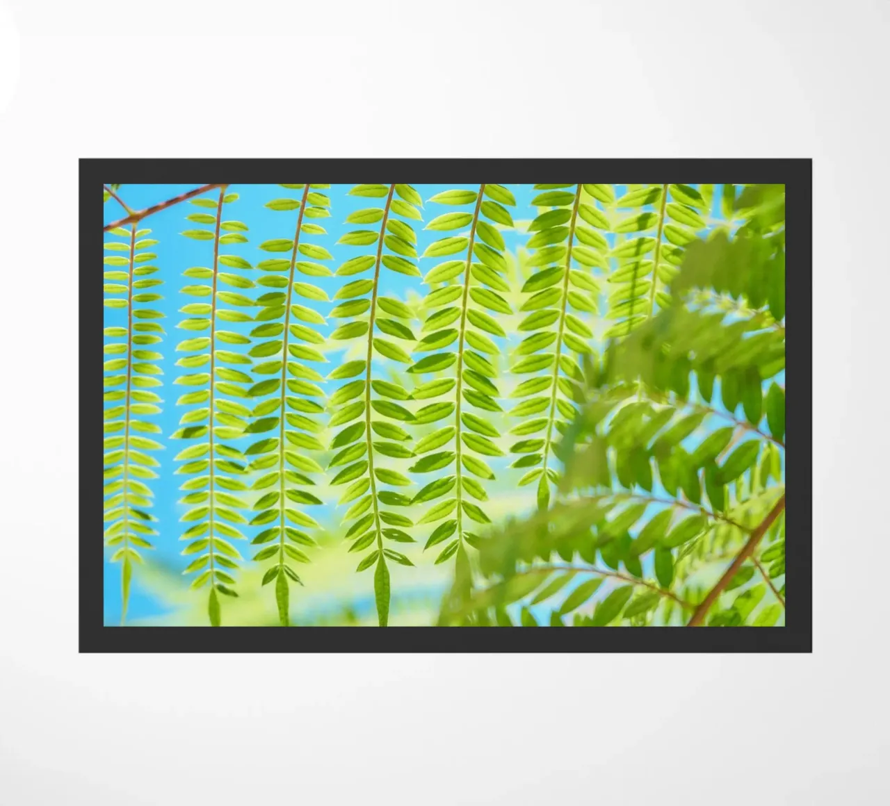 fern leaf doormat by lesuki