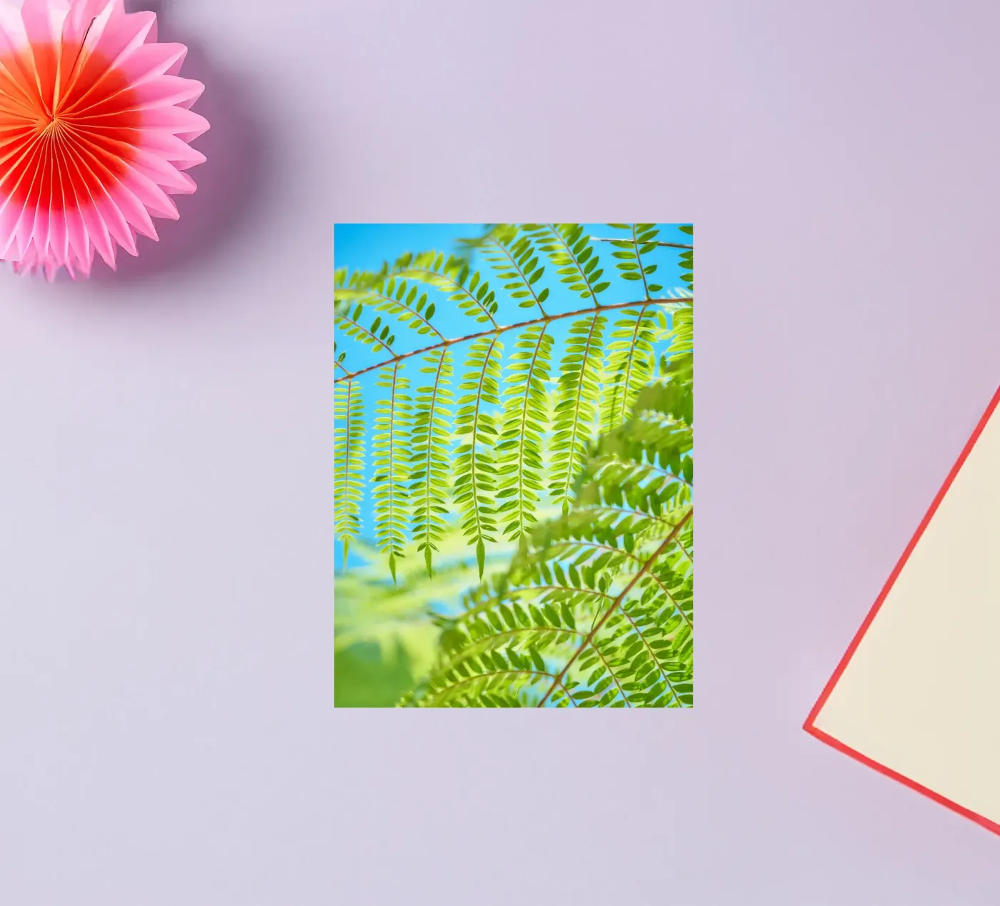 fern leaf sticker by lesuki