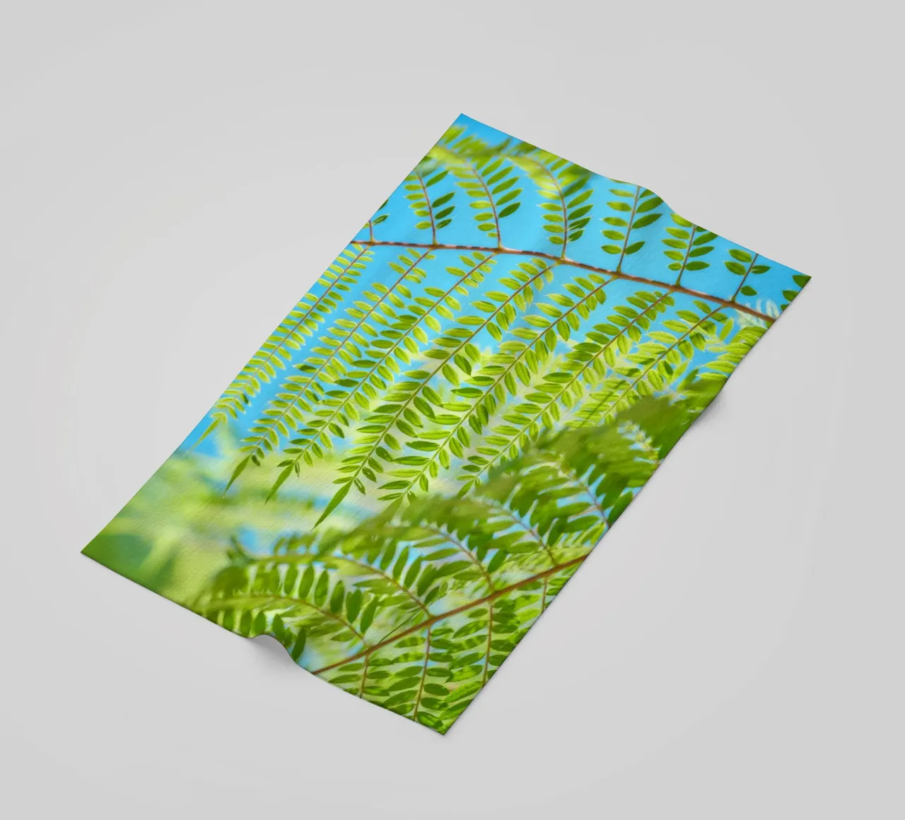 foglia di felce telo mare da lesuki