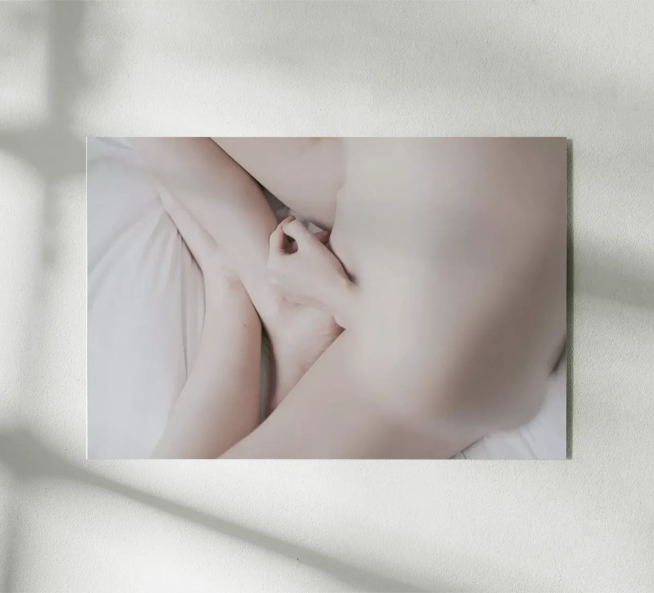 The Silkmoth 4 plexiglass da Paul Aidan Perry