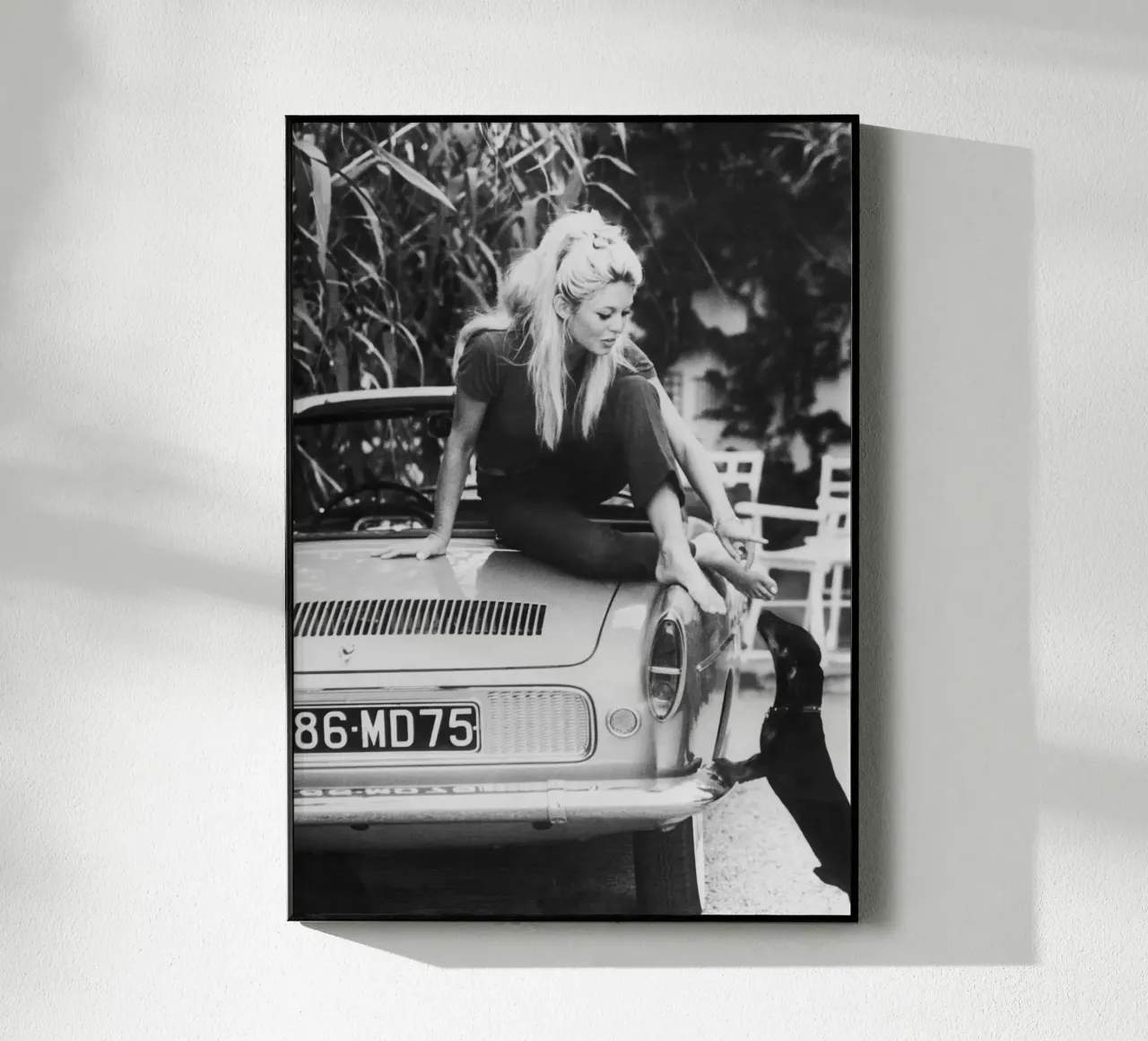 Brigitte Bardot plexiglass da vintgeseyn