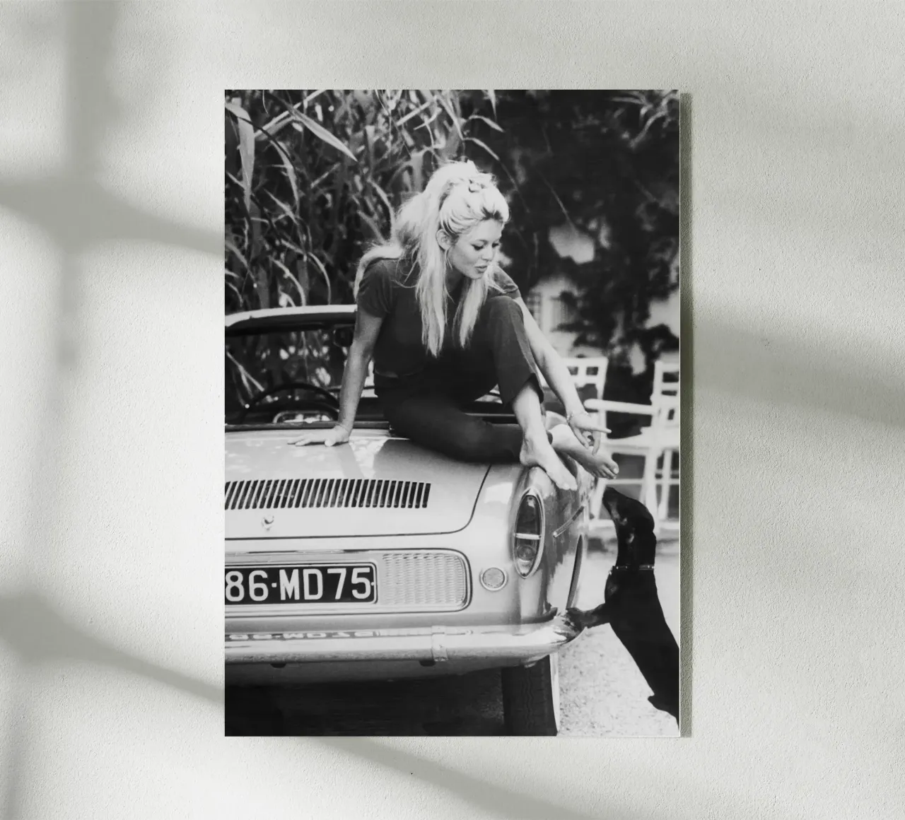 Brigitte Bardot plexiglass da vintgeseyn