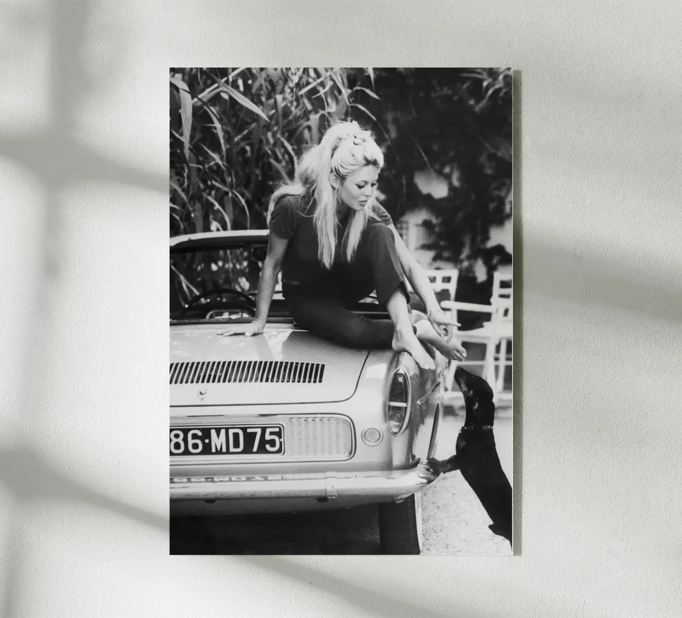 Brigitte Bardot acryl van vintgeseyn