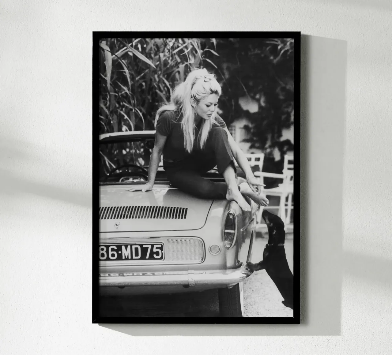 Brigitte Bardot poster da vintgeseyn
