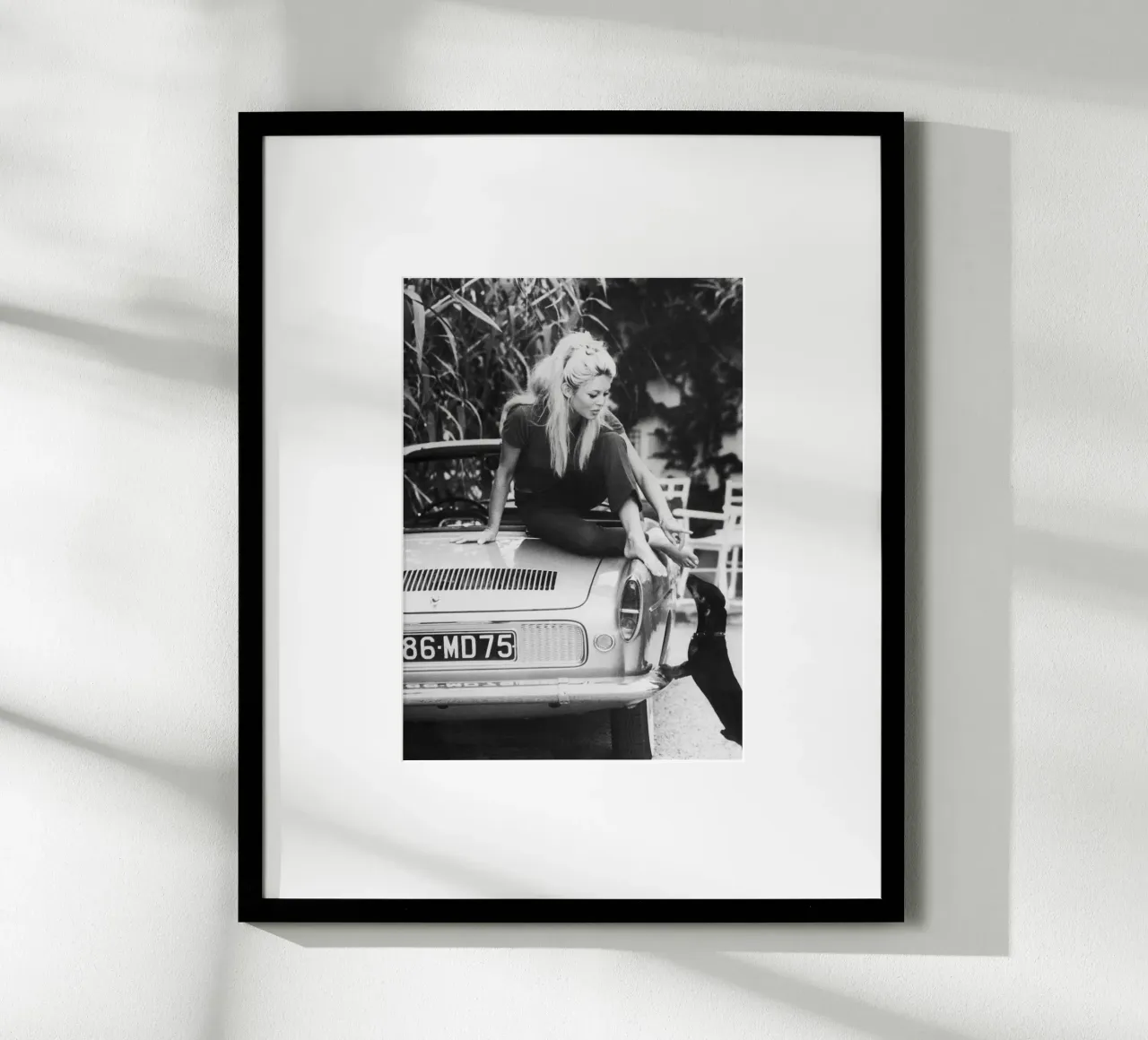 Brigitte Bardot poster da vintgeseyn