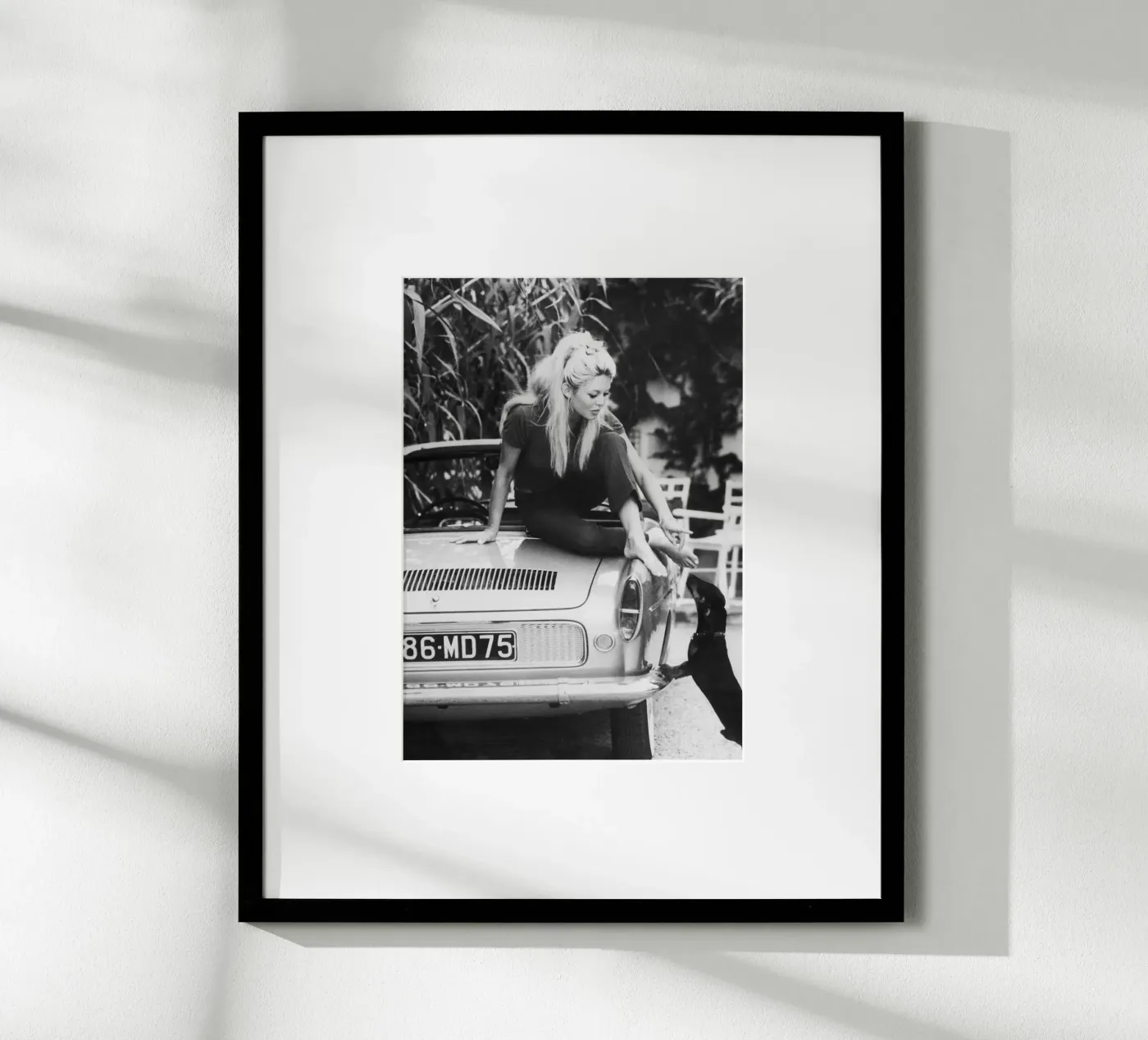 Brigitte Bardot poster da vintgeseyn