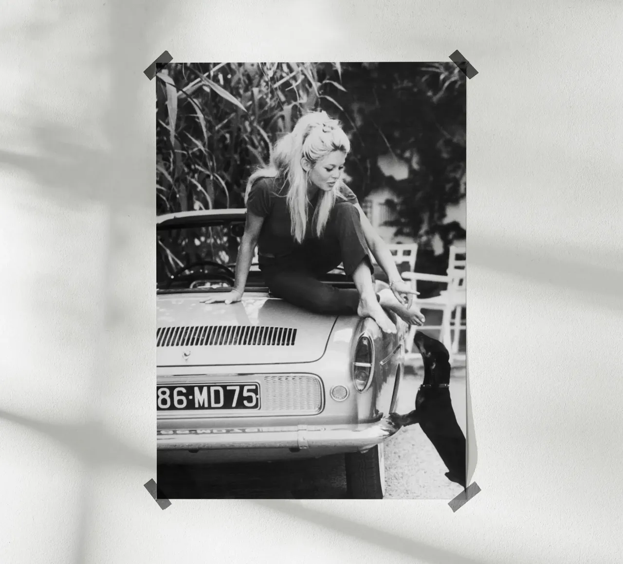 Brigitte Bardot poster da vintgeseyn